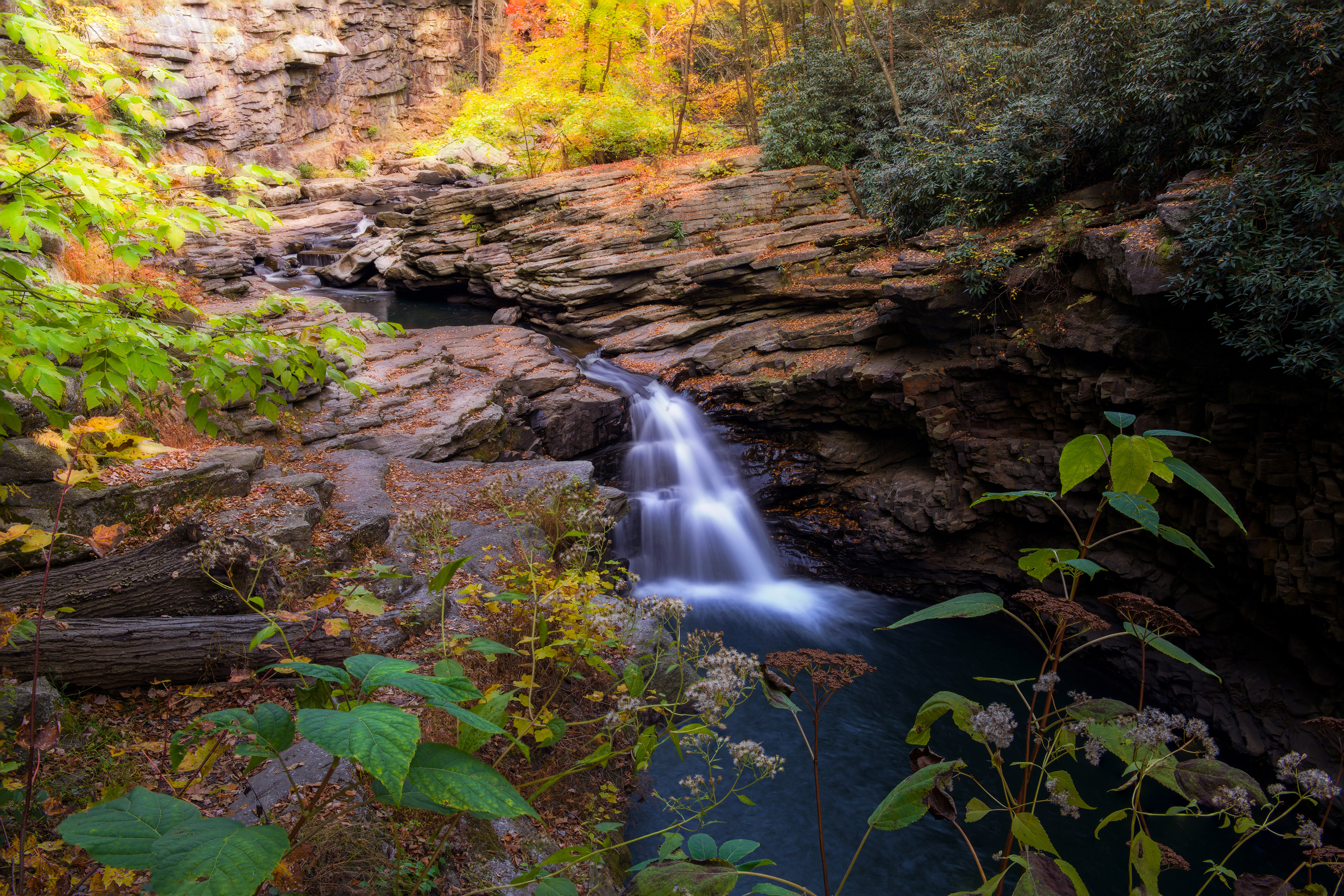 Nay Aug Park, USA