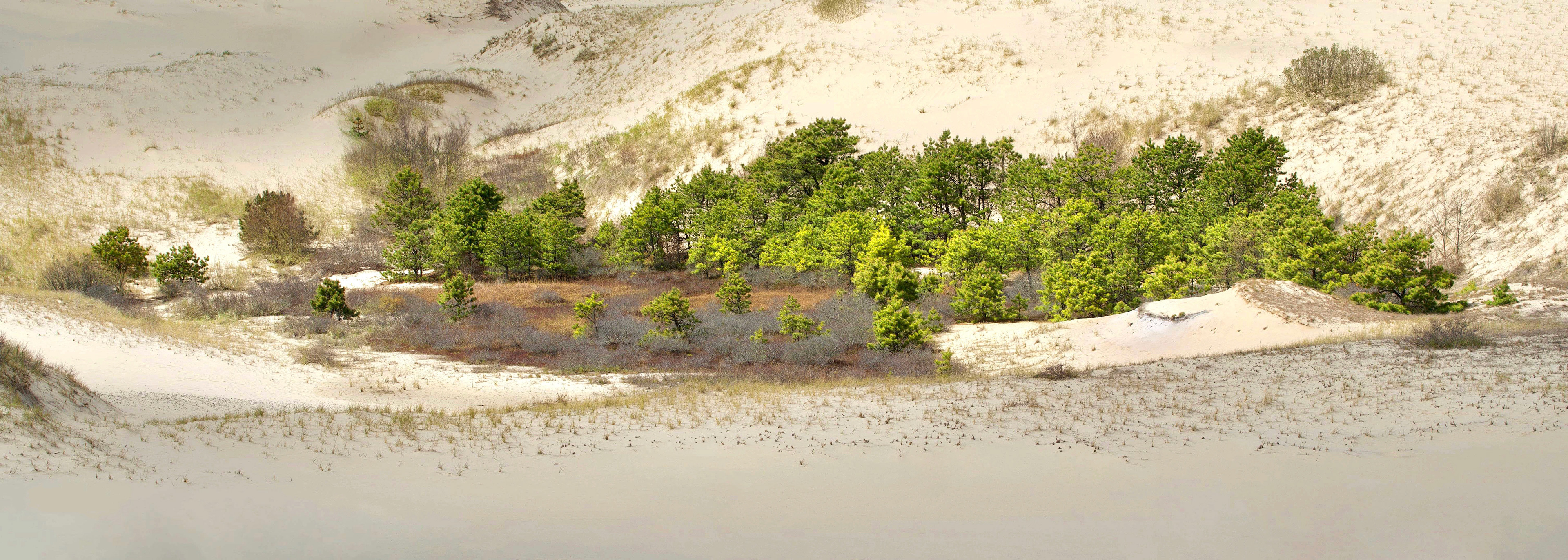 Cape Cod National Seashore, USA