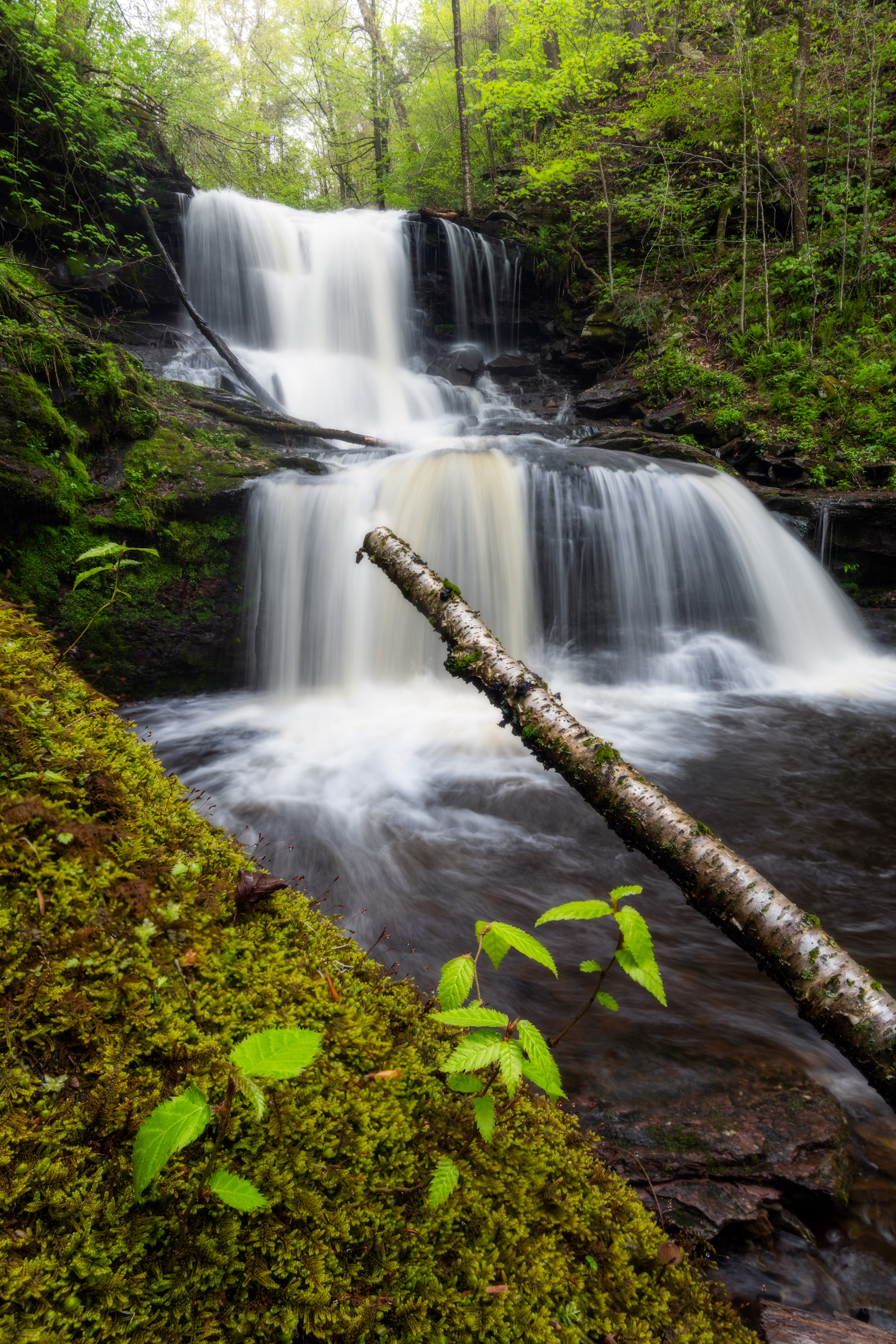 Ricketts Glen State Park, USA