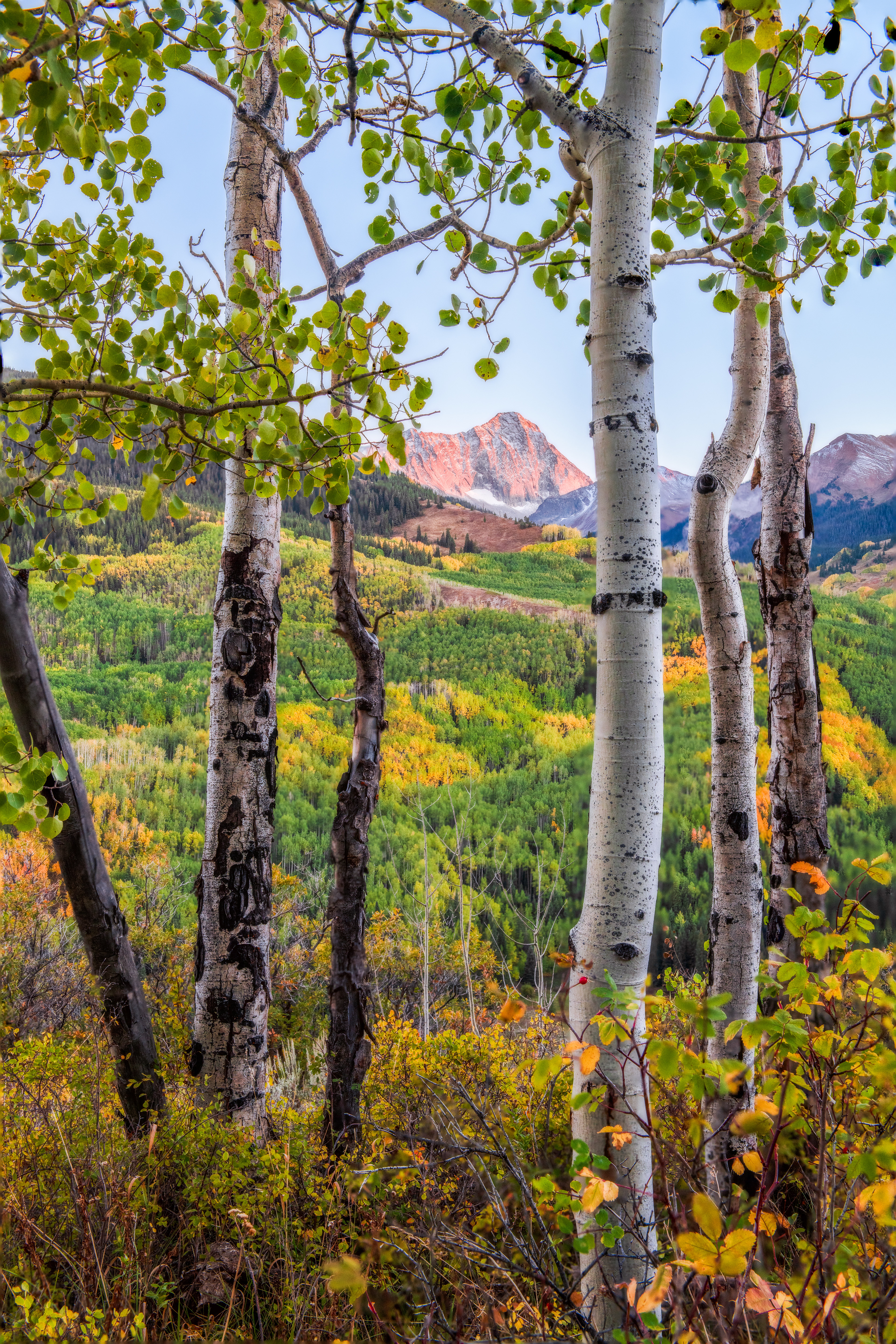 Maroon Bells-Snowmass Wilderness, USA