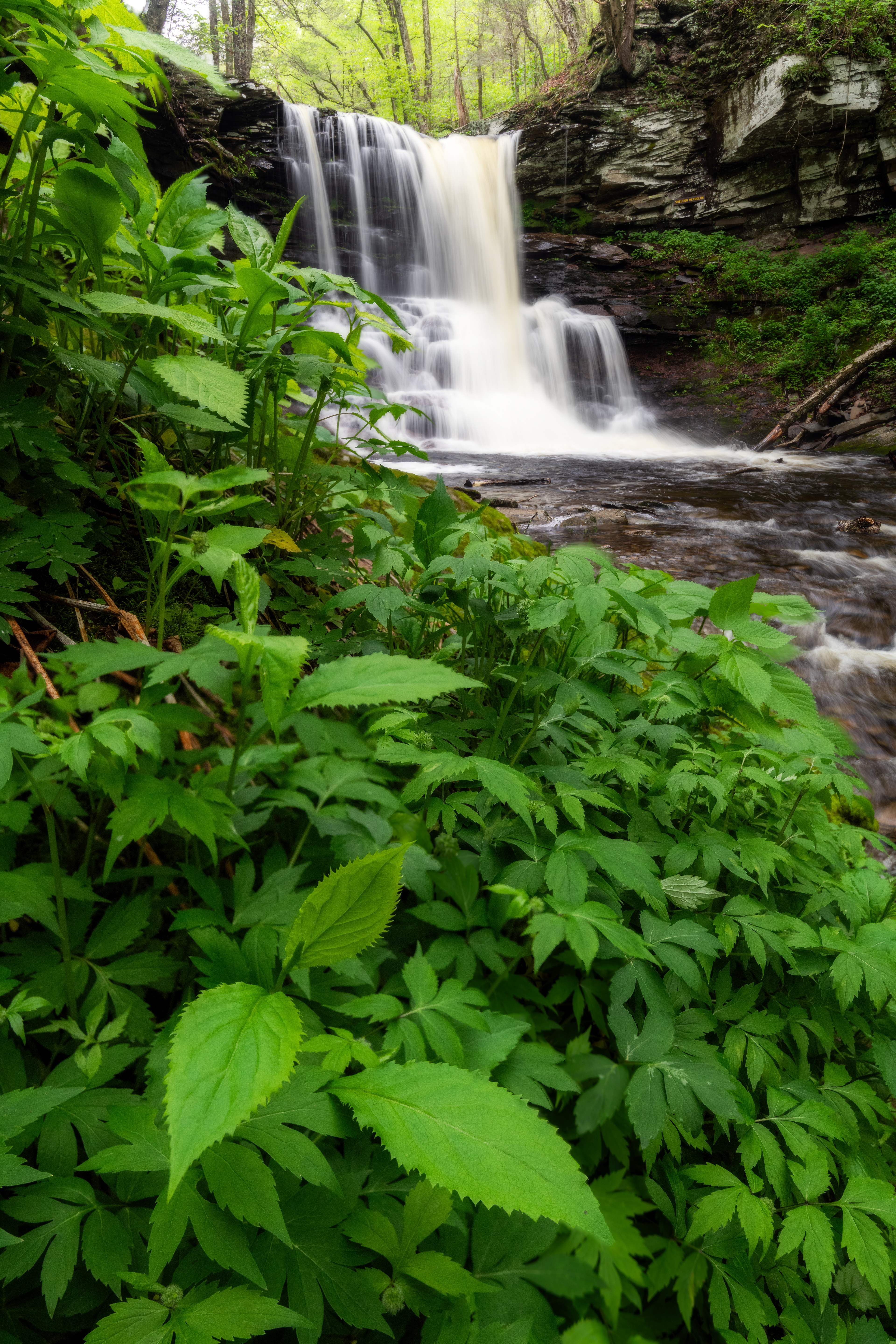 Ricketts Glen State Park, USA