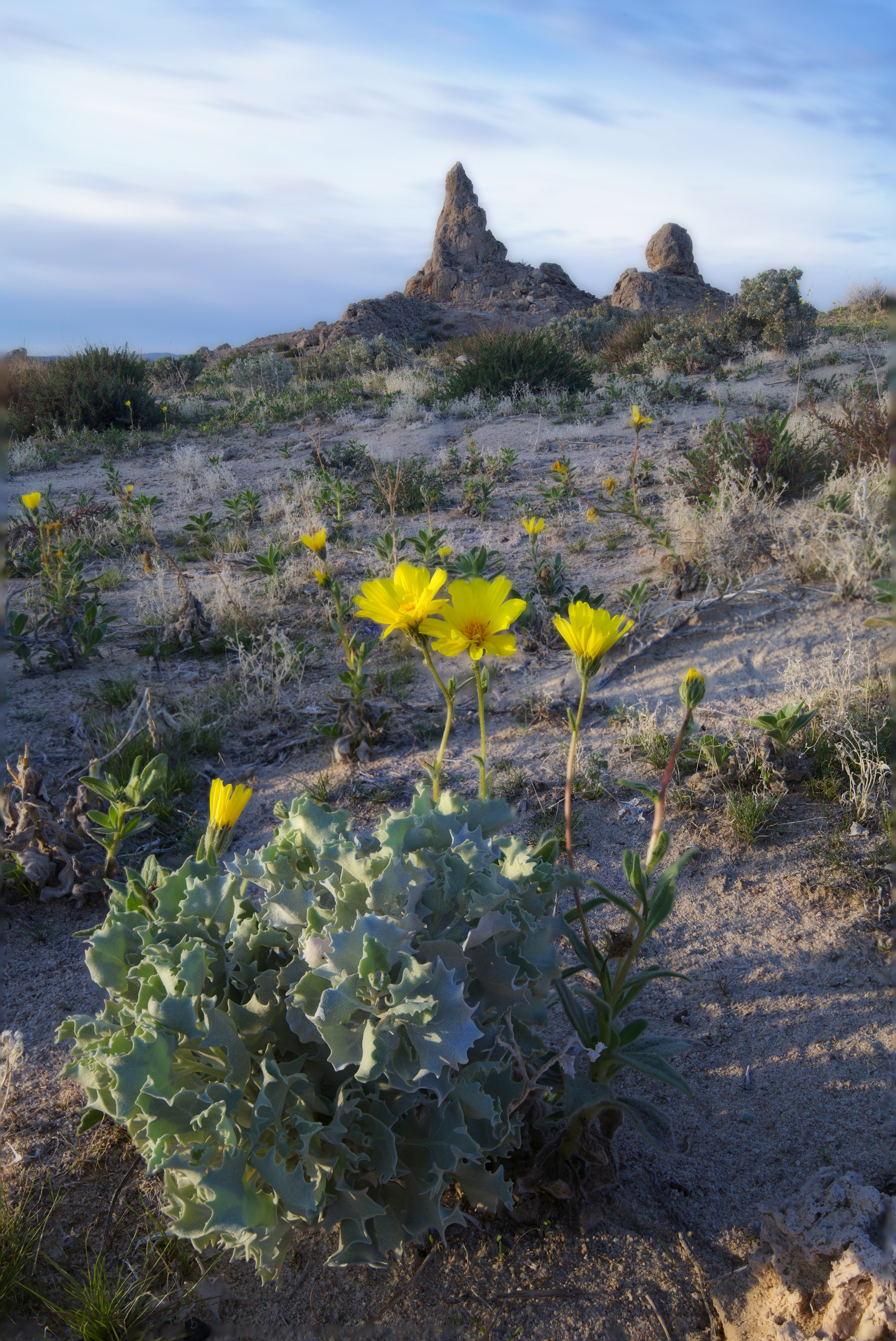 Trona Pinnacles, USA