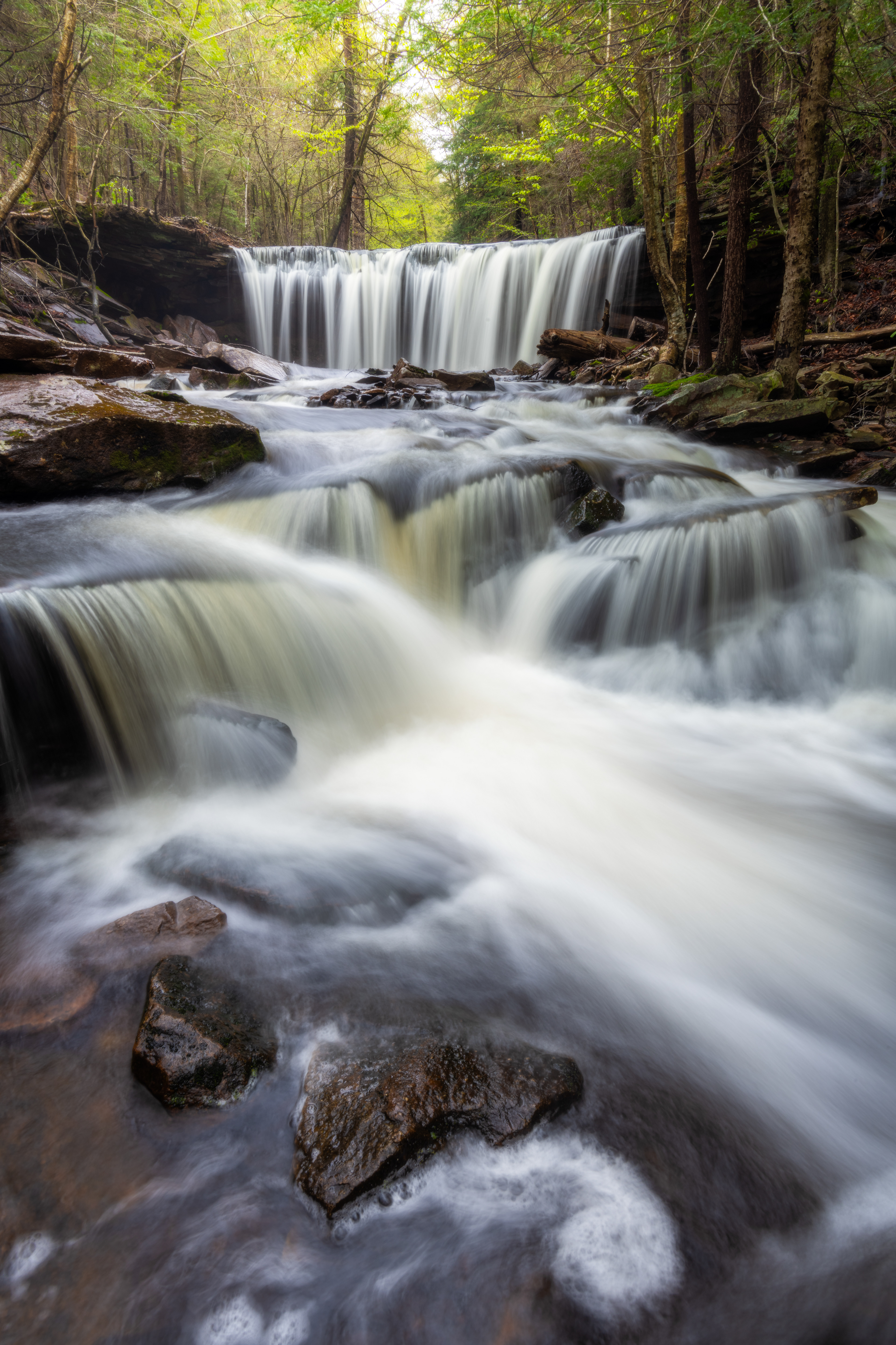 Ricketts Glen State Park, USA