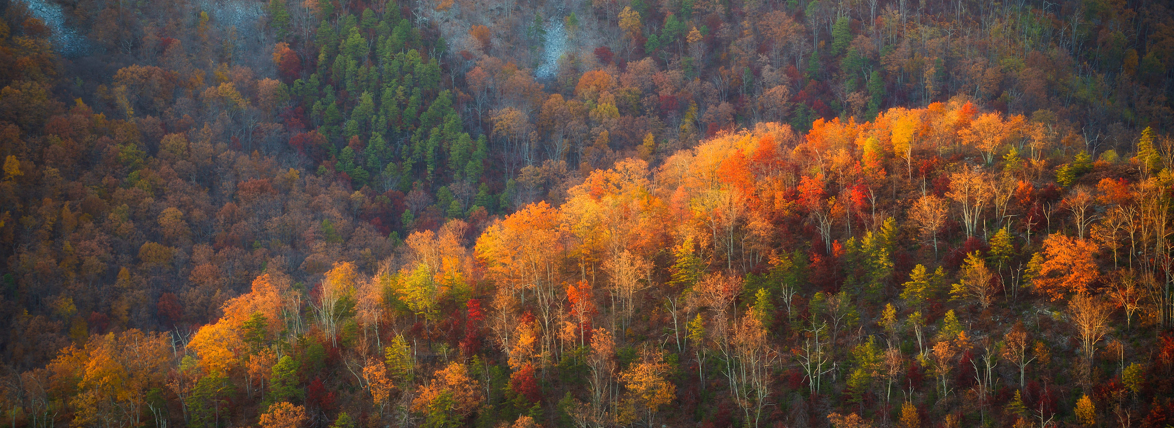 Shenandoah National Park, USA