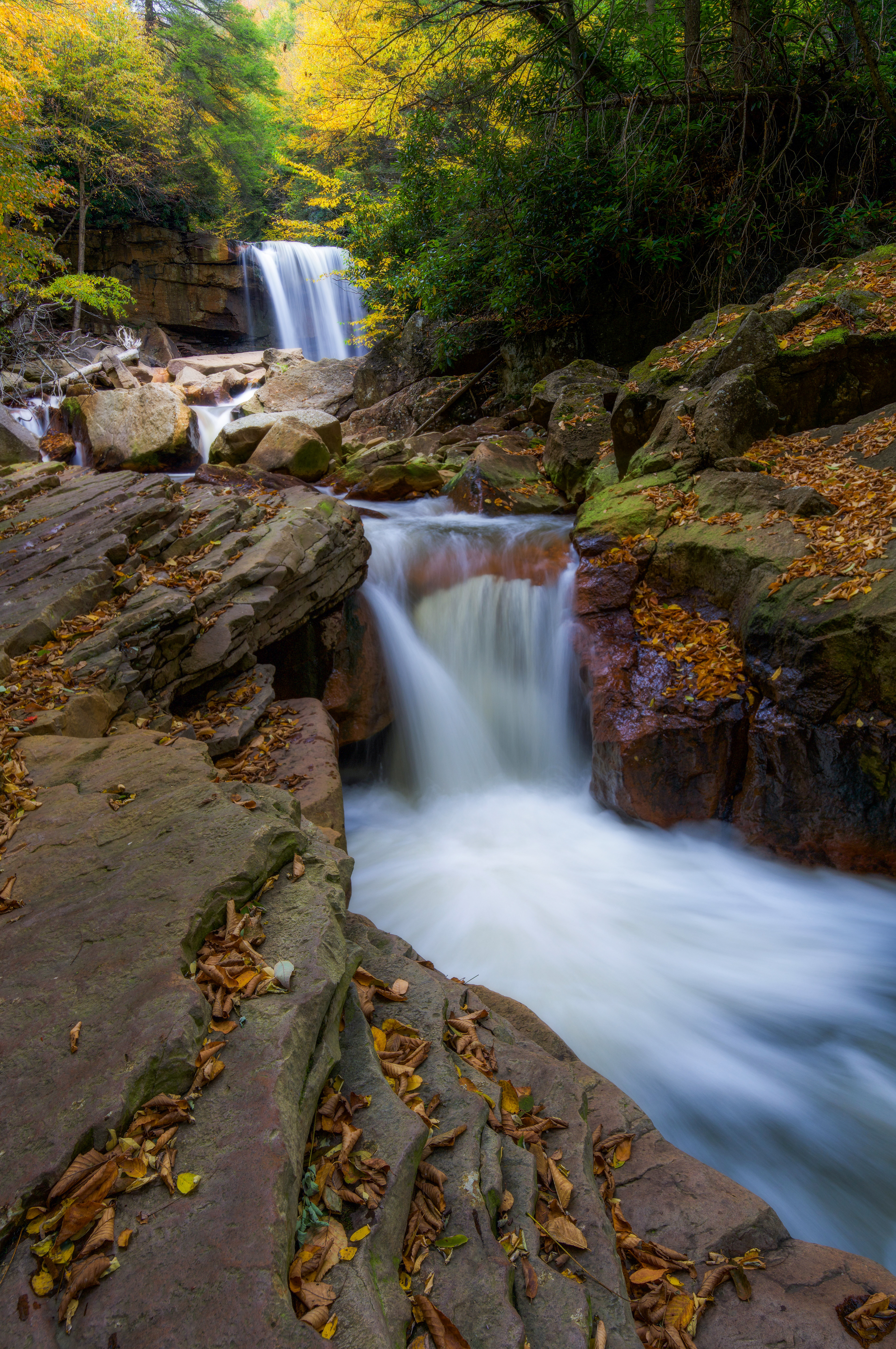 Blackwater Falls State Park, USA