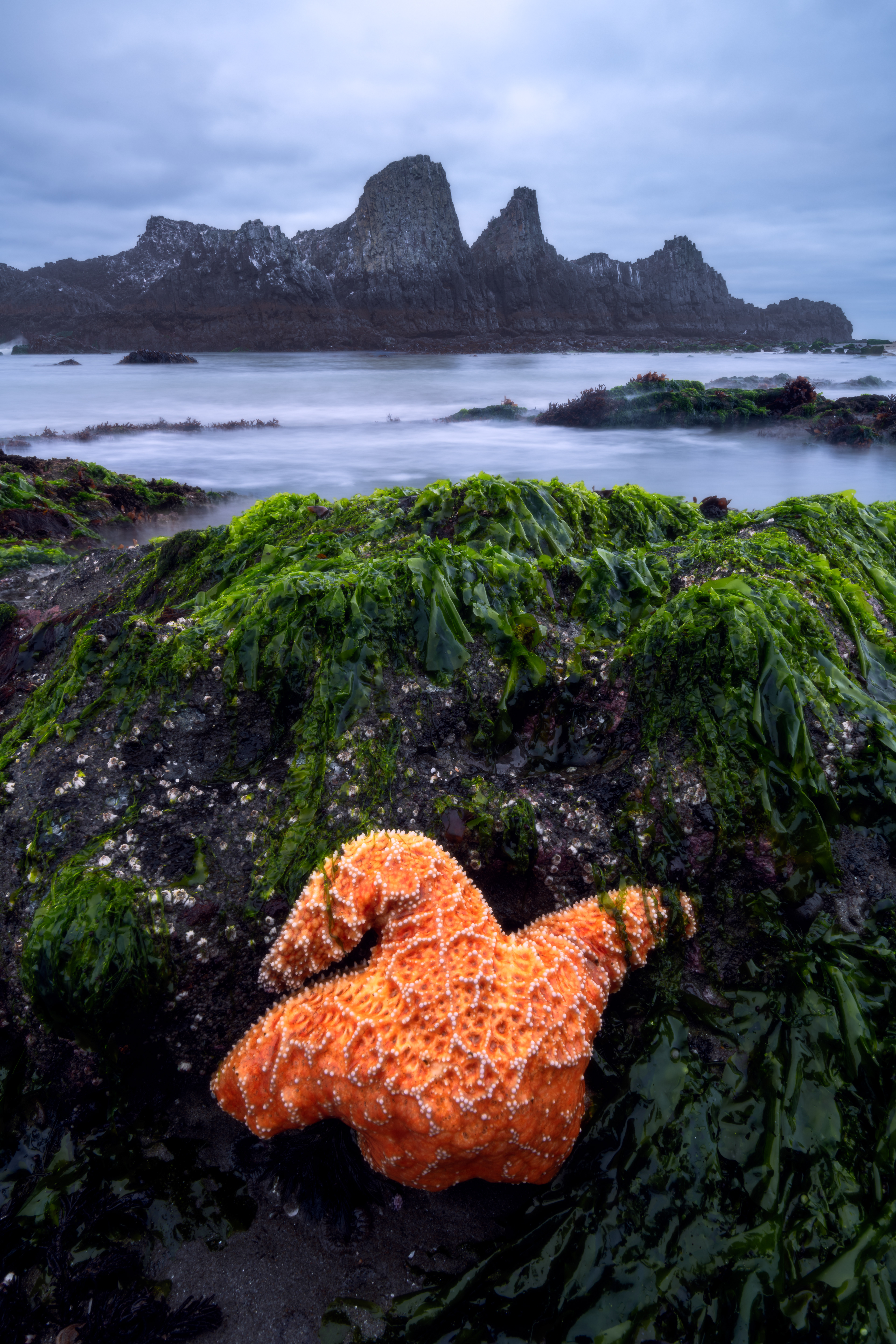Oregon Coast, USA