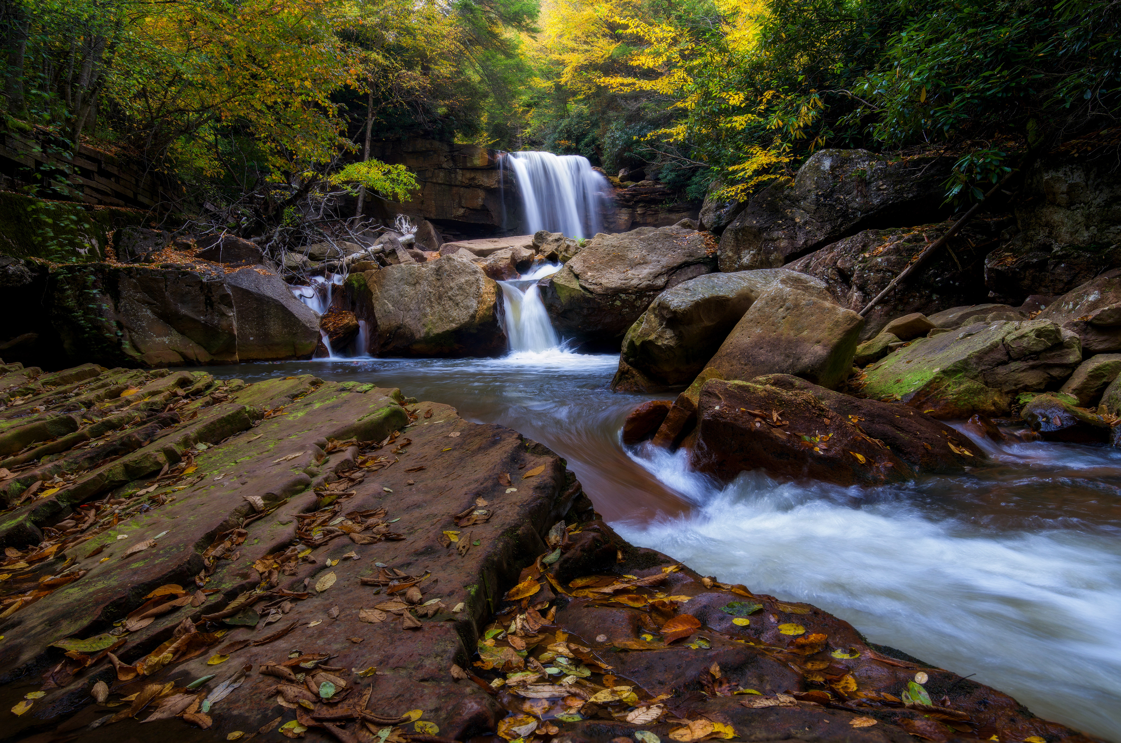Blackwater Falls State Park, USA
