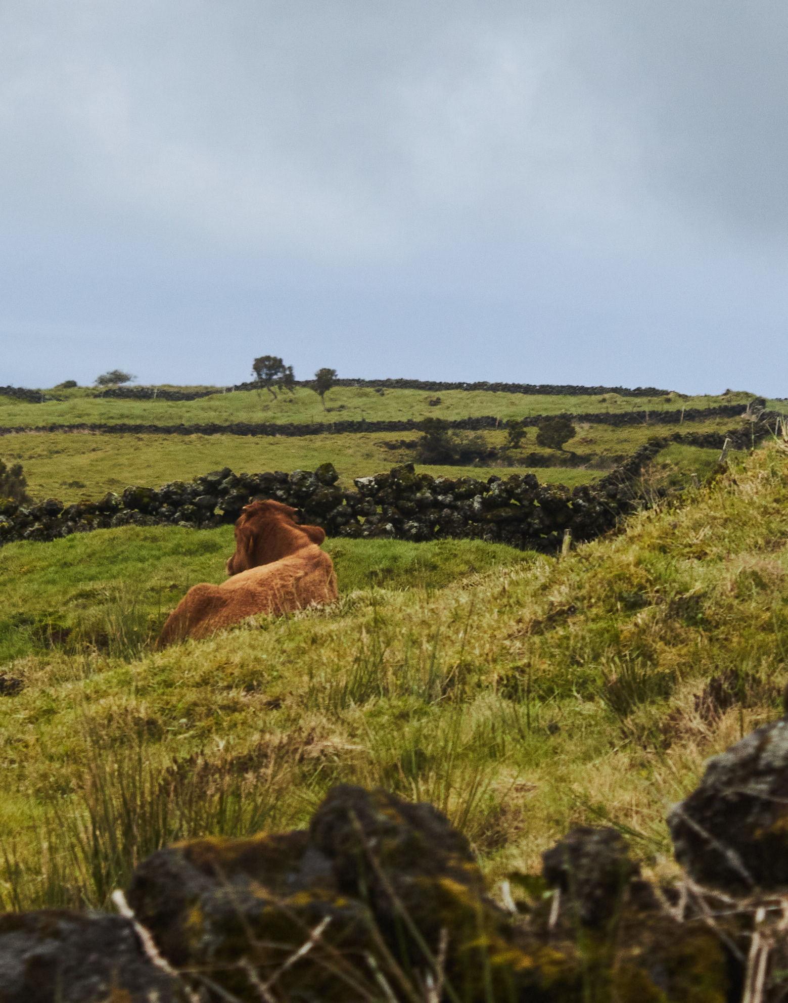 Through The Mountains