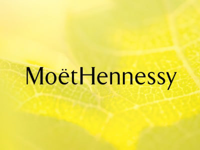Moët Hennessy plateforme de brand education