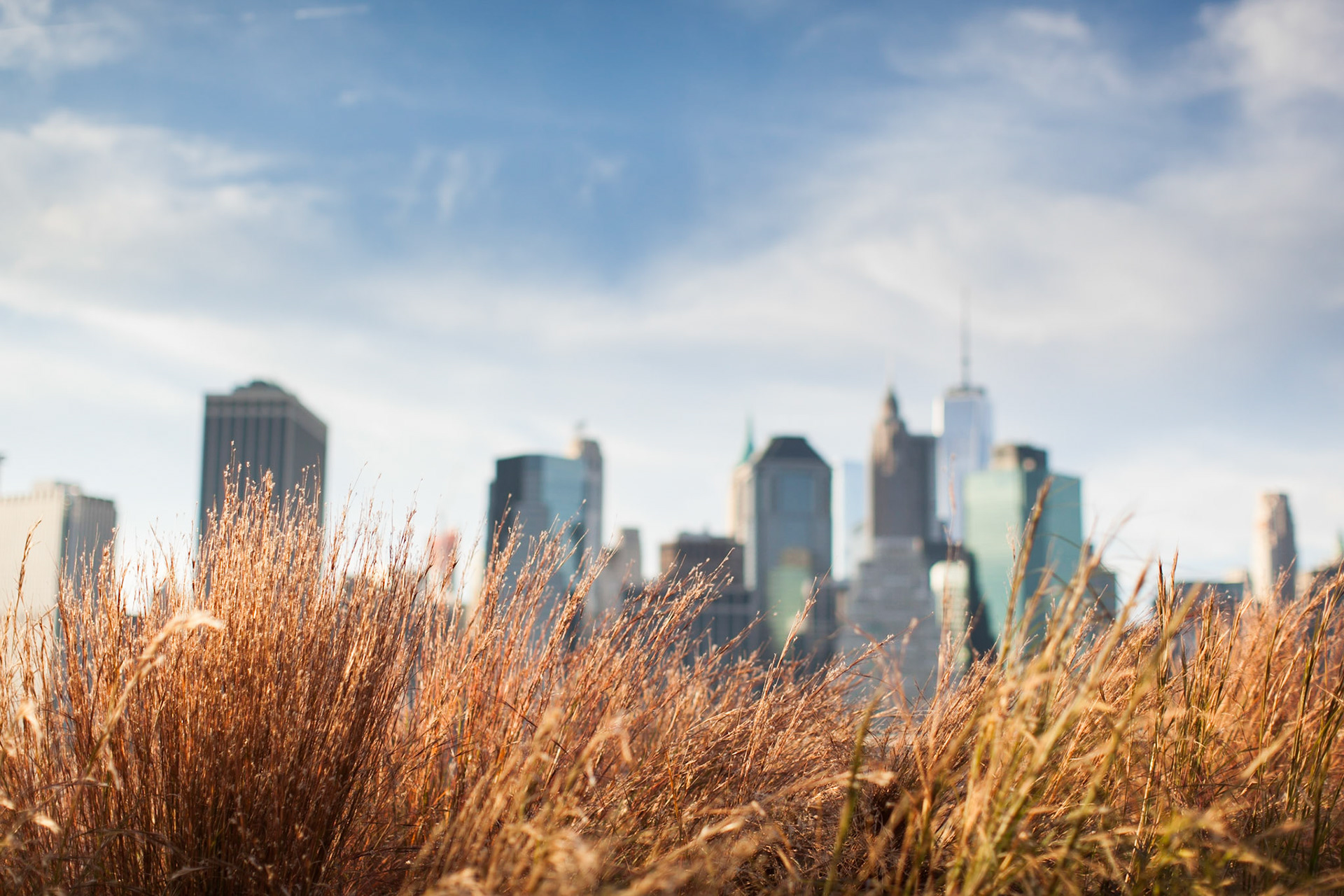 Brooklyn Bridge Park