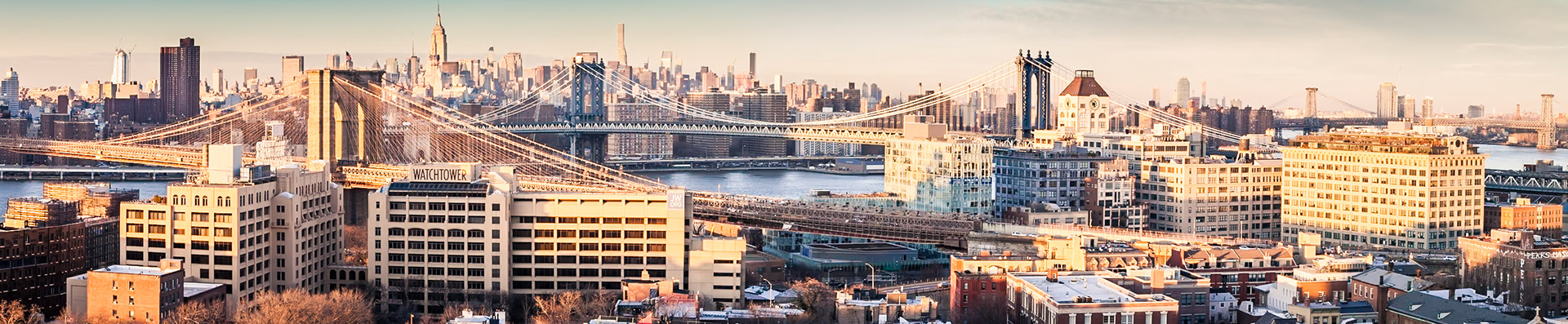 Brooklyn Heights #51