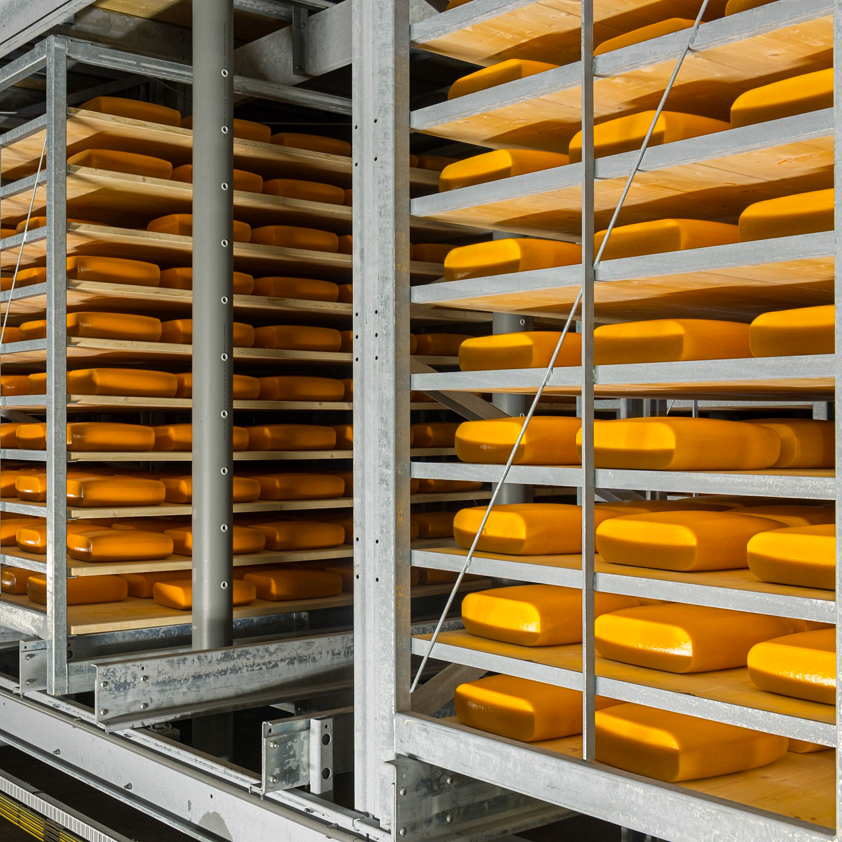 In een apart geconditioneerd warehouse rijpen de Beemsterkazen.