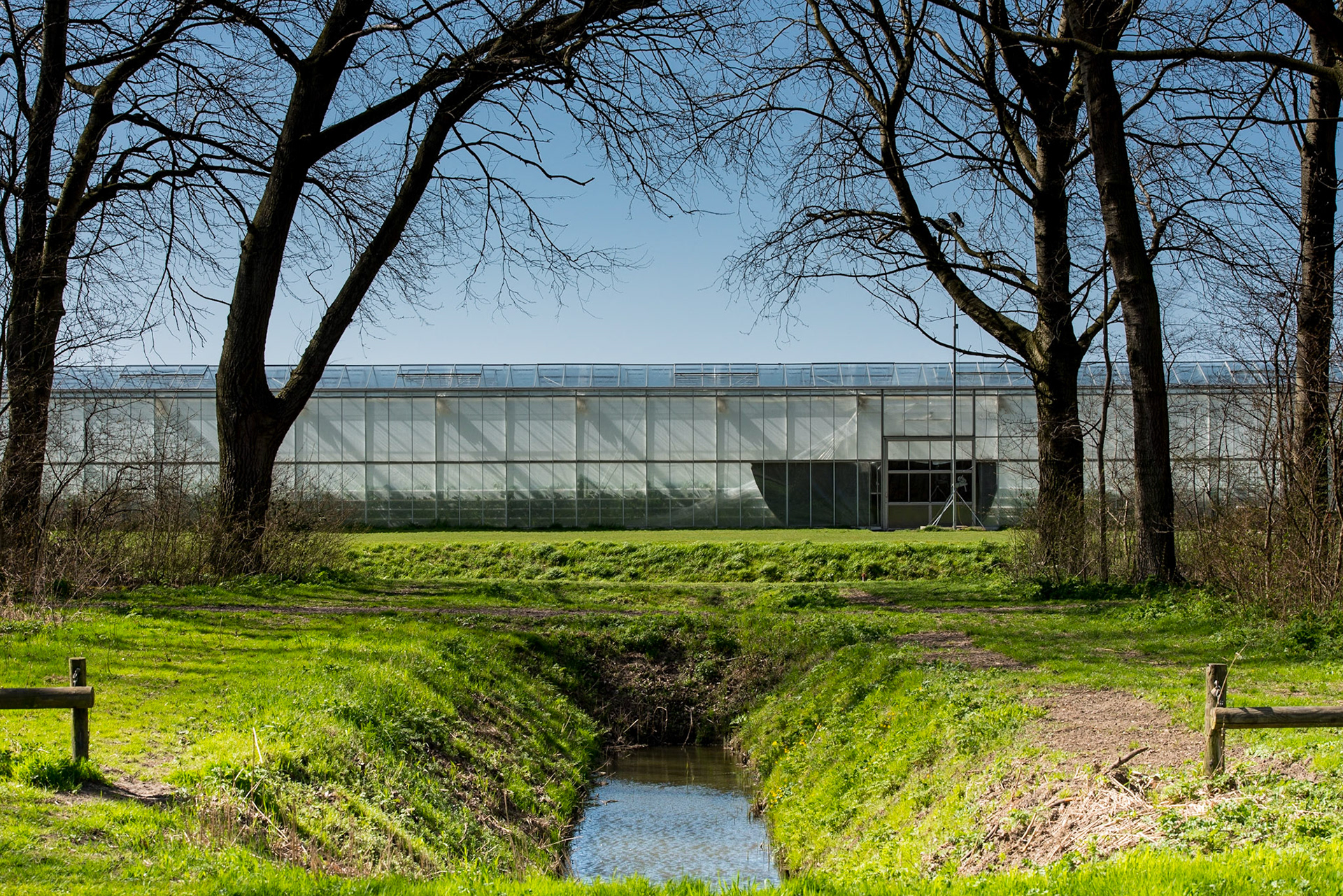In the western part of The Netherlands, greenhouses are a fixed part of the flat Dutch landscape.