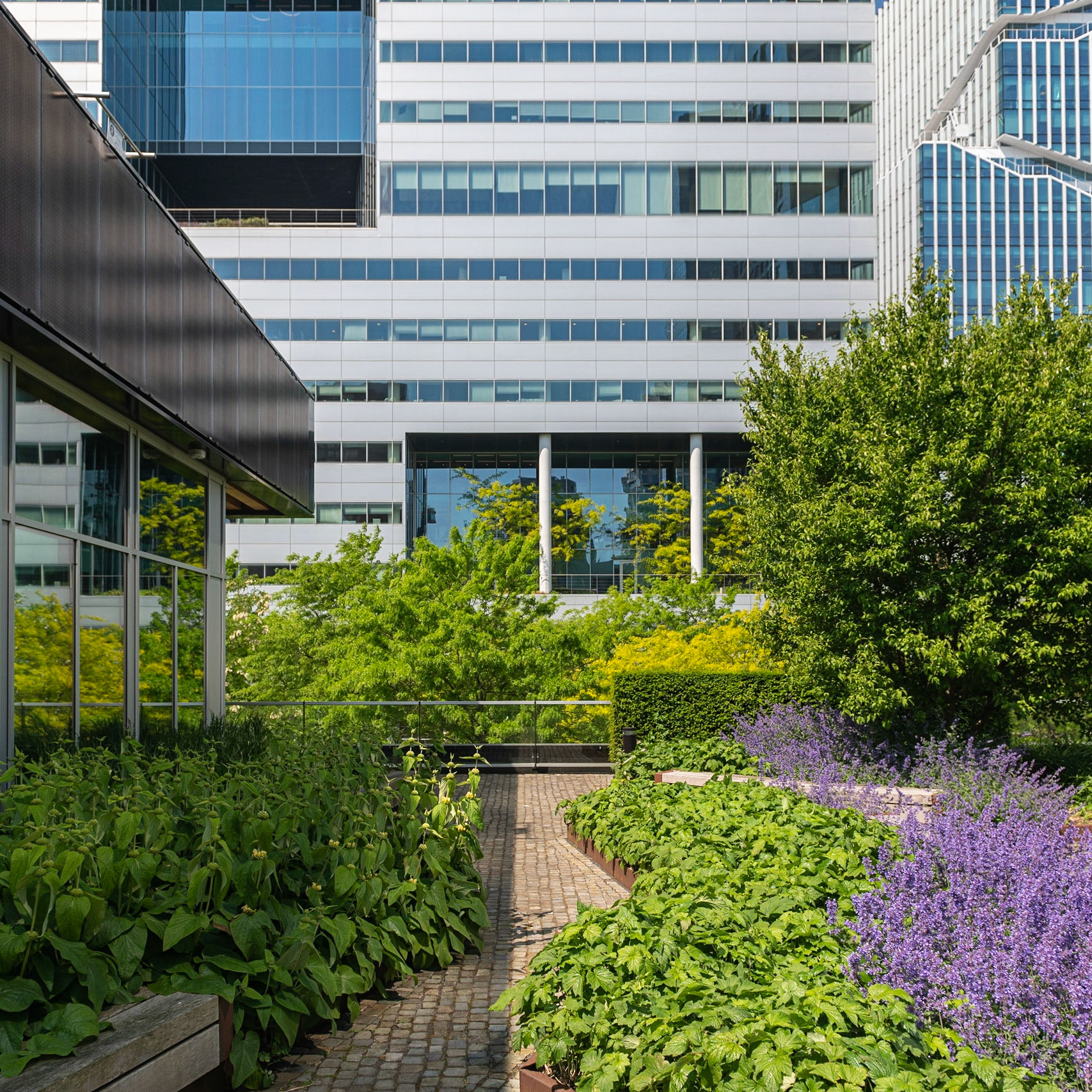 Amsterdam. Zuidas. De Amsterdamse Zuidas heeft enerzijds als doel om ontwikkeld te worden als internationaal businessdistrict waarin wordt voorzien in nieuwe bedrijfseconomische clusters en anderzijds te groeien als levendige nieuwe stadswijk waar wonen, werken en recreëren samenkomen.