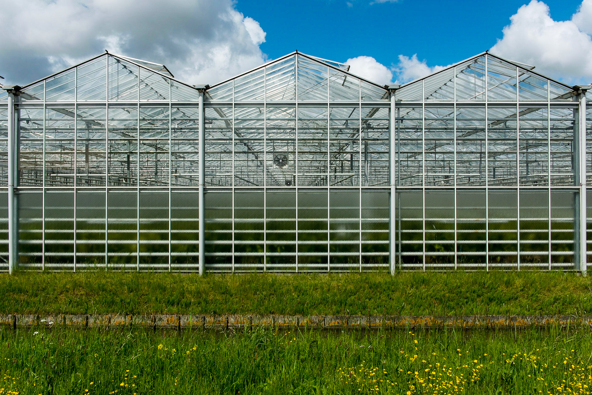 In the western part of The Netherlands, greenhouses are a fixed part of the flat Dutch landscape.