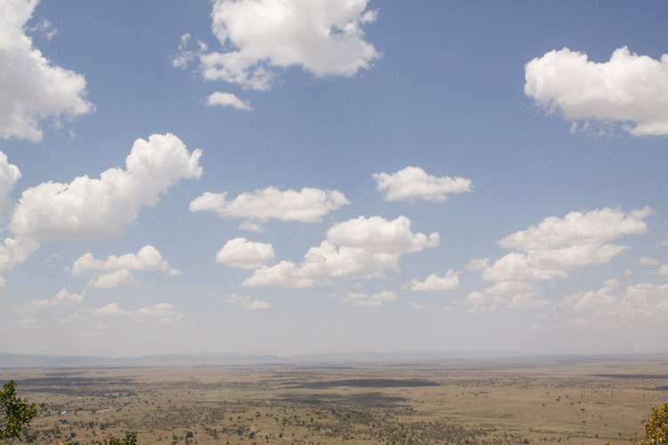 Masai Mara National Reserve, Kenya