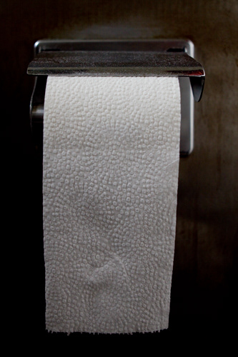 Toilet papers; Toilet issue; Restroom; Bathroom; Sanitation; Texture; White; Clean; Waste; Toilet Issue; Aluminum Toilet Roll Holder.