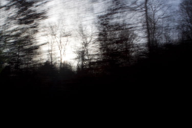 NATURE; MOVING; FORREST; WOODS; TWILIGHT; LUXEMBOURG; Landscape; trees; Travel; Driving; Journey; Outdoors; Rapid; Passing.