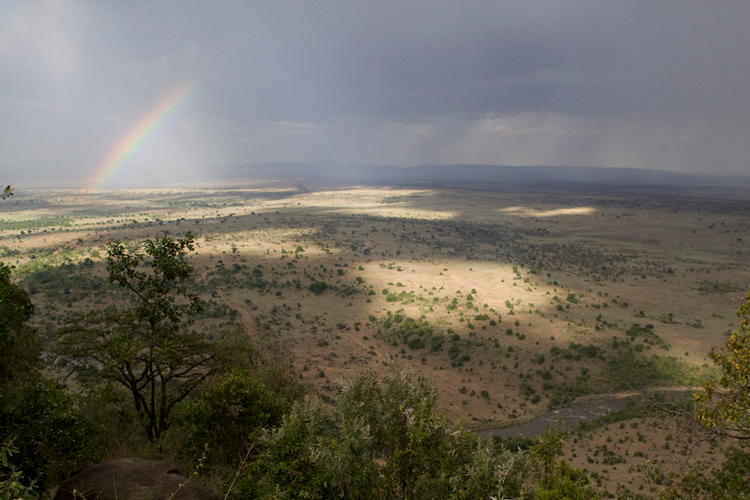 Masai Mara National Reserve, Kenya
