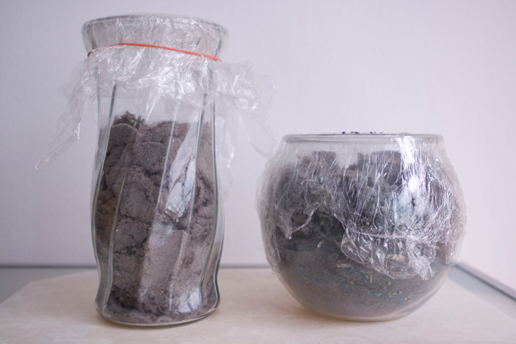 Accumulated Filth 2005. Dust, vacuum cleaner, jar(s). Size varies with installation. I vacuum the room usually every week. The bag from the vacuum fills up every few months. The accumulated dust, soot, filth is a dark grey. I will take the collected contents from the vacuum bag and shelve it on a glass jar(s). It is to display the filth I clean up and live with. I could have the contents analyzed by a lab and display it by the jar. This work has been collectd. Yeah!