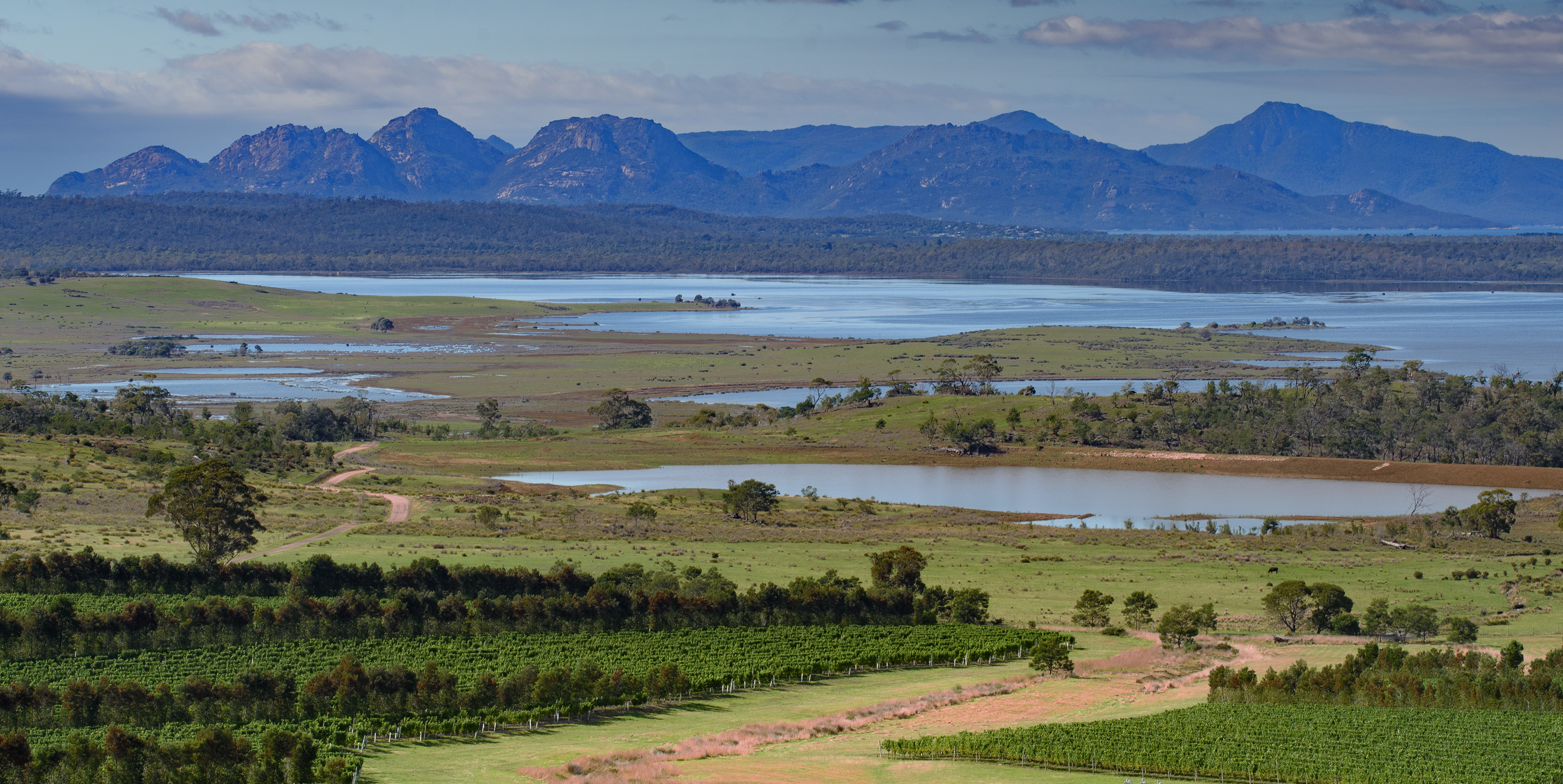 Freycinet from Devil's Corner, Tasmania