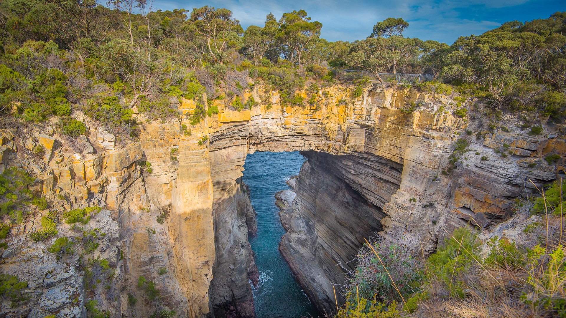 The Tasman Arch