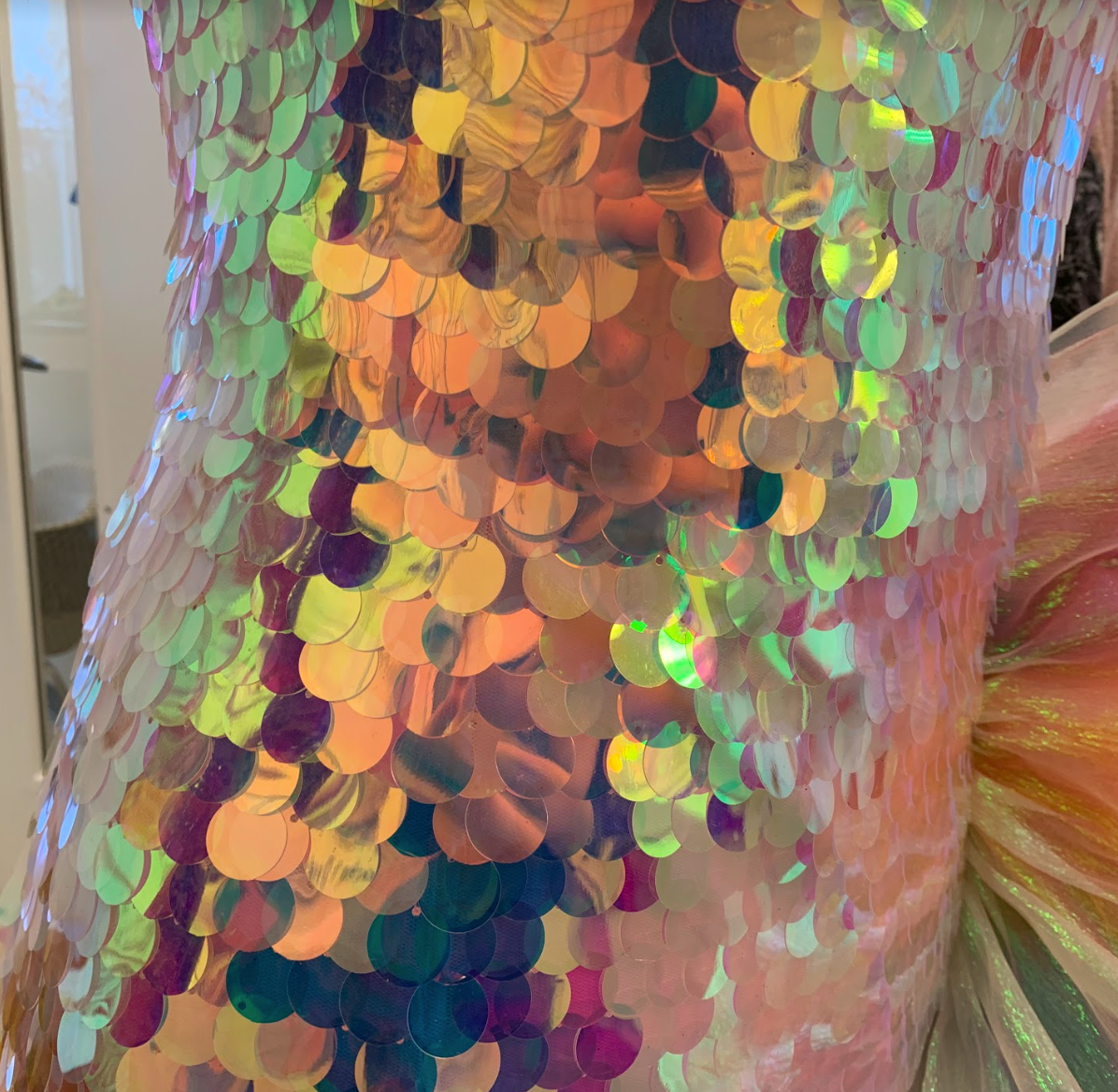 Waist Seam, Paillettes Flipped Down