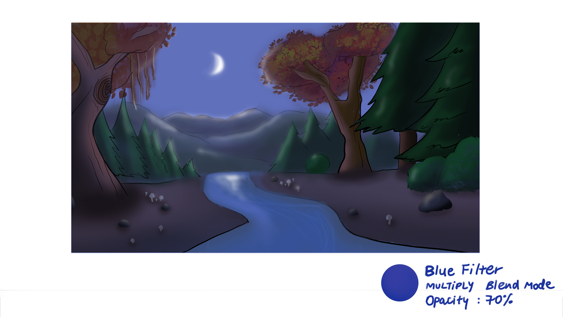 Night Forest