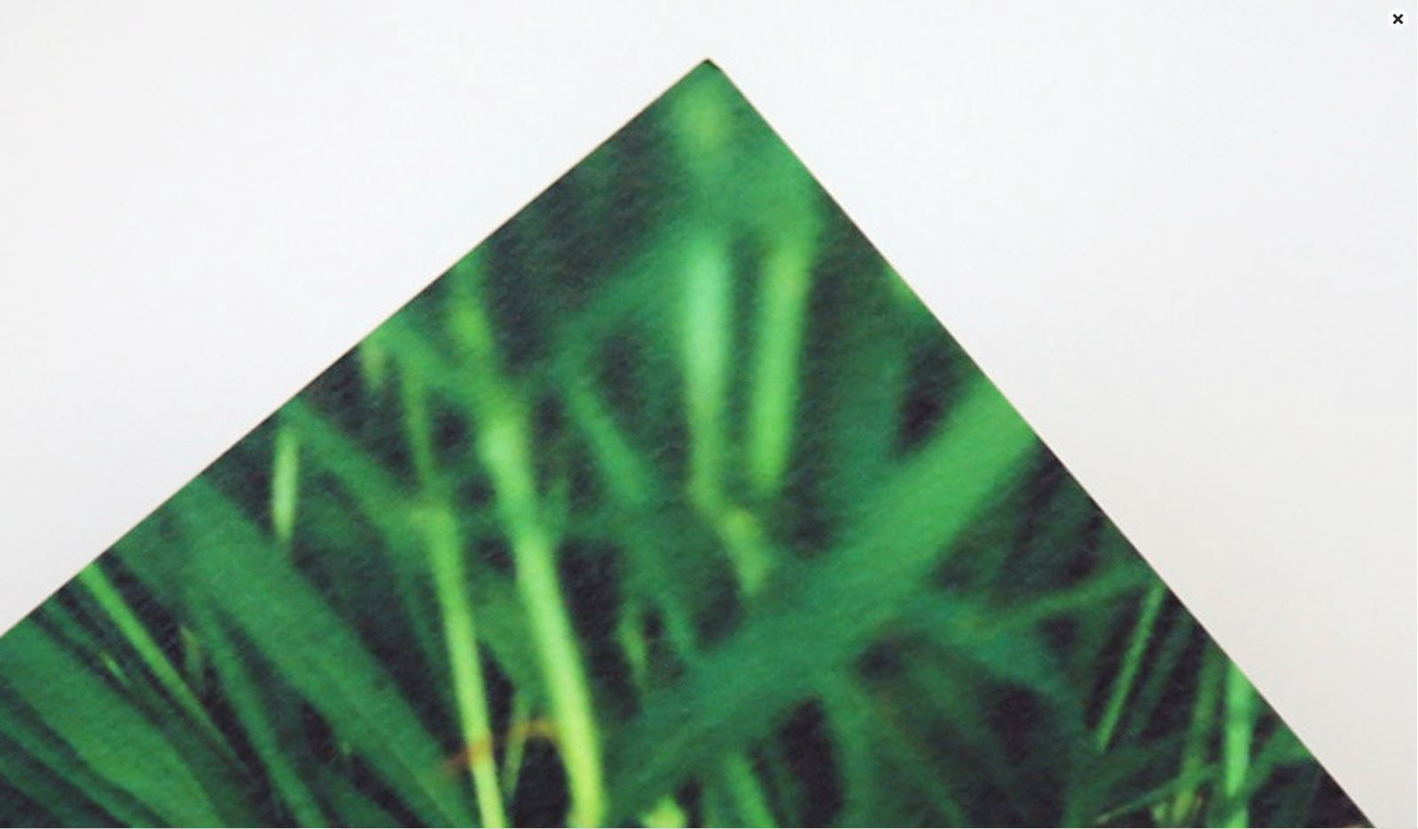 TINTORETTO: A felt-marked art stock with a distinct watercolour texture on both surfaces. Tintoretto has a matt finish, is of exceptional quality and, like our other offset stocks, specifically formulated for our digital-offset press.