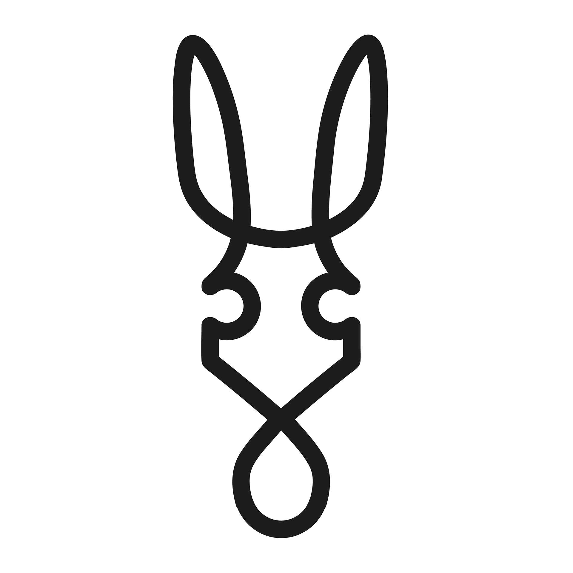 Donkey logo