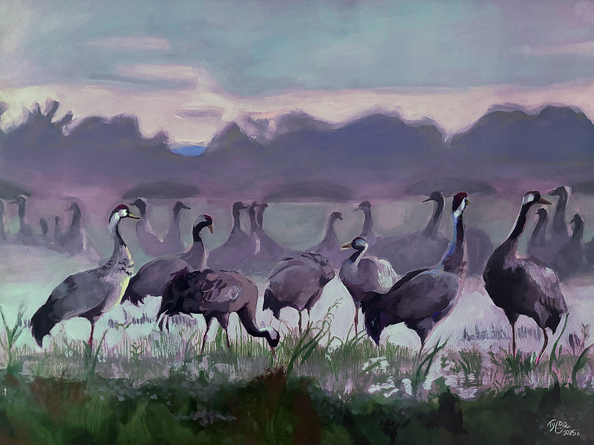 Cranes, A3, gouache, 2025