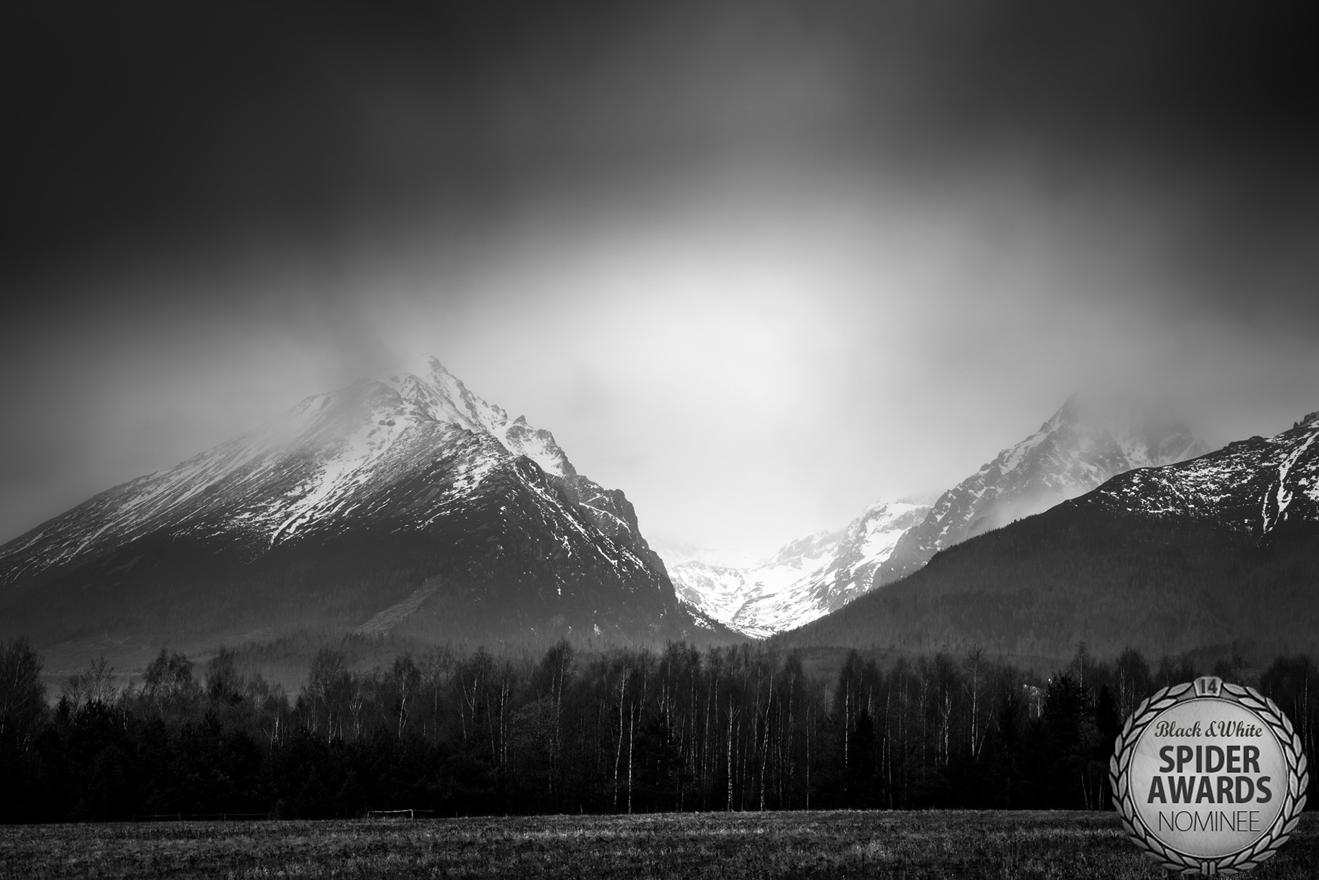 An image of the 14th black and white spider awards where one of my images was nominated.