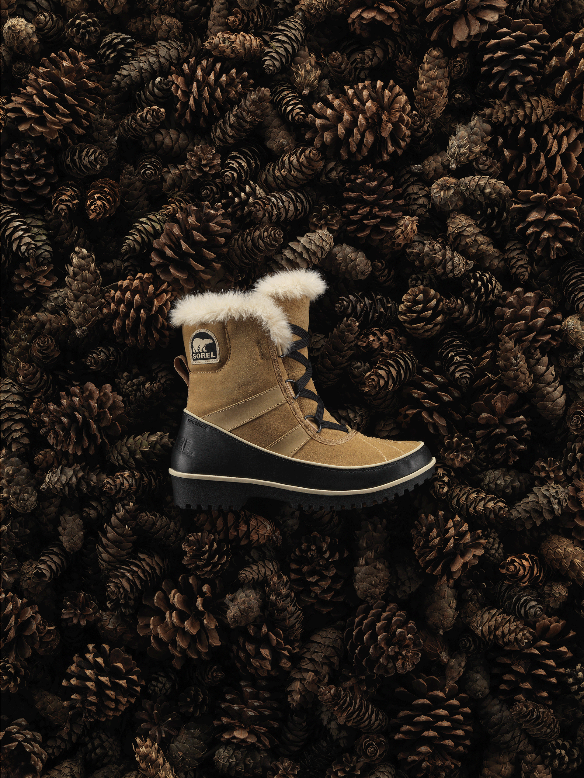 Sorel - before