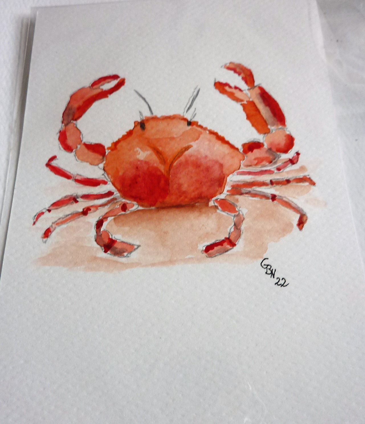 Krebs Aquarellpostkarte 5€