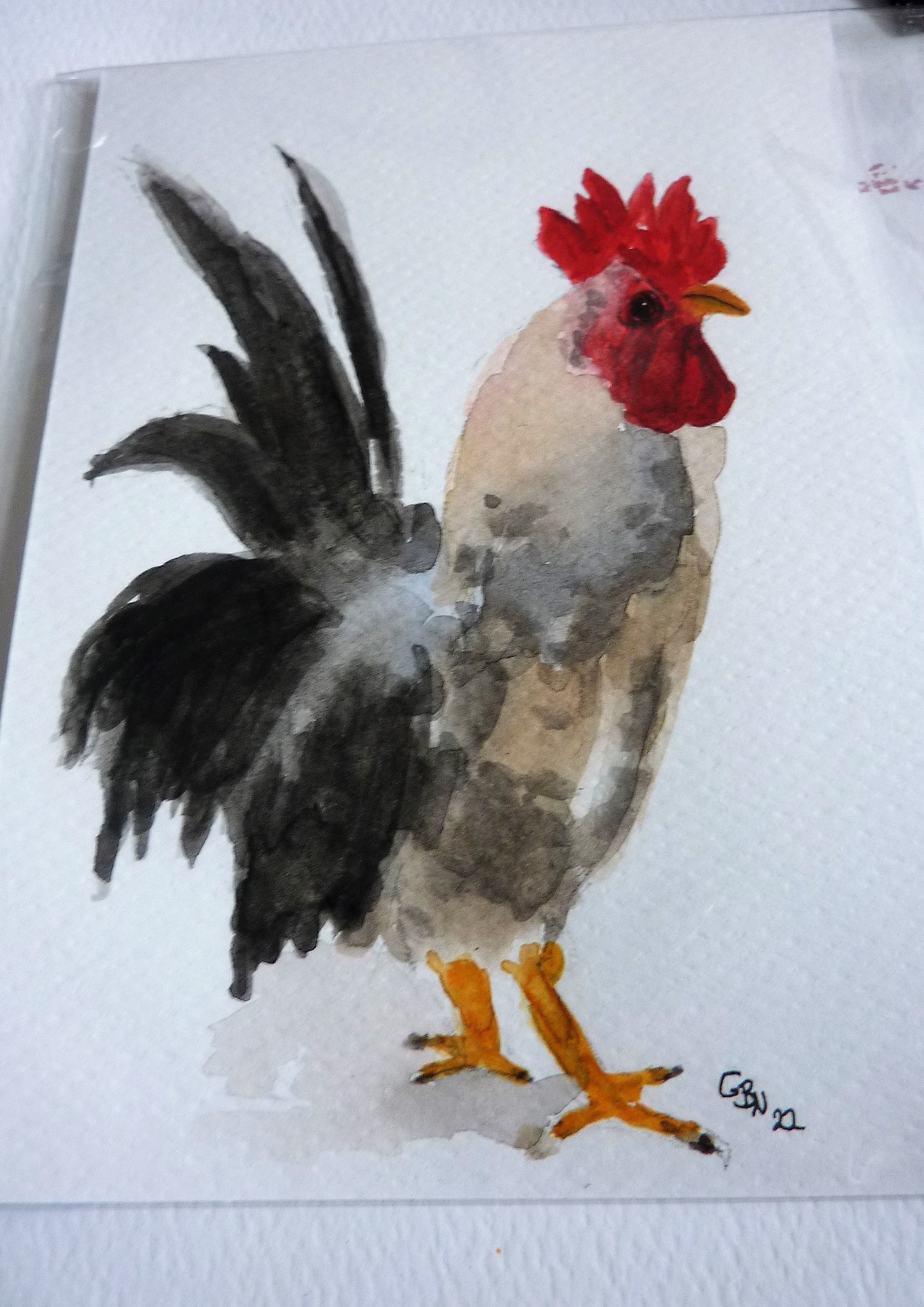 Hahn Aquarellpostkarte 5€