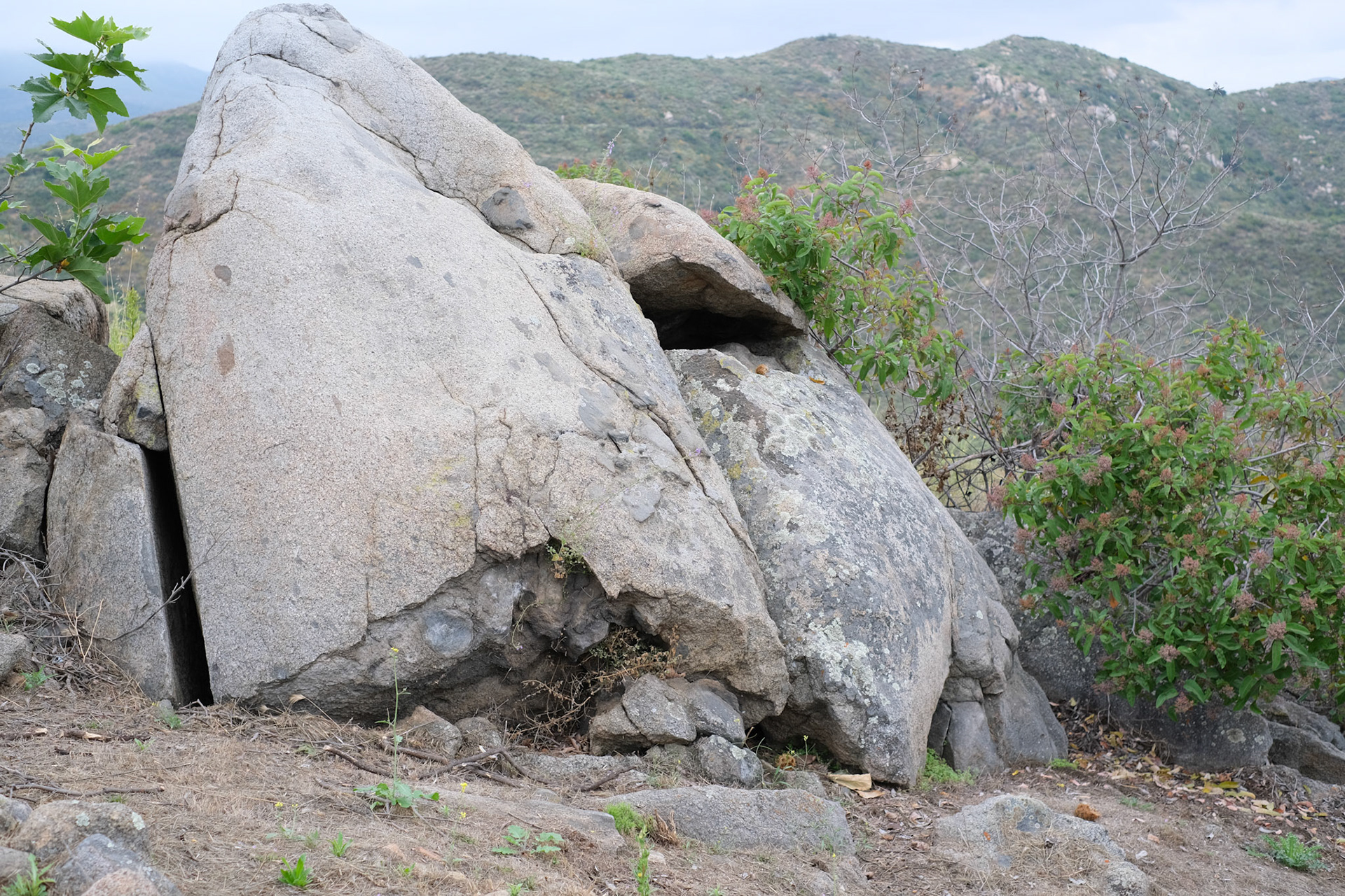 SAN DIEGO, CALIFORNIA 2022