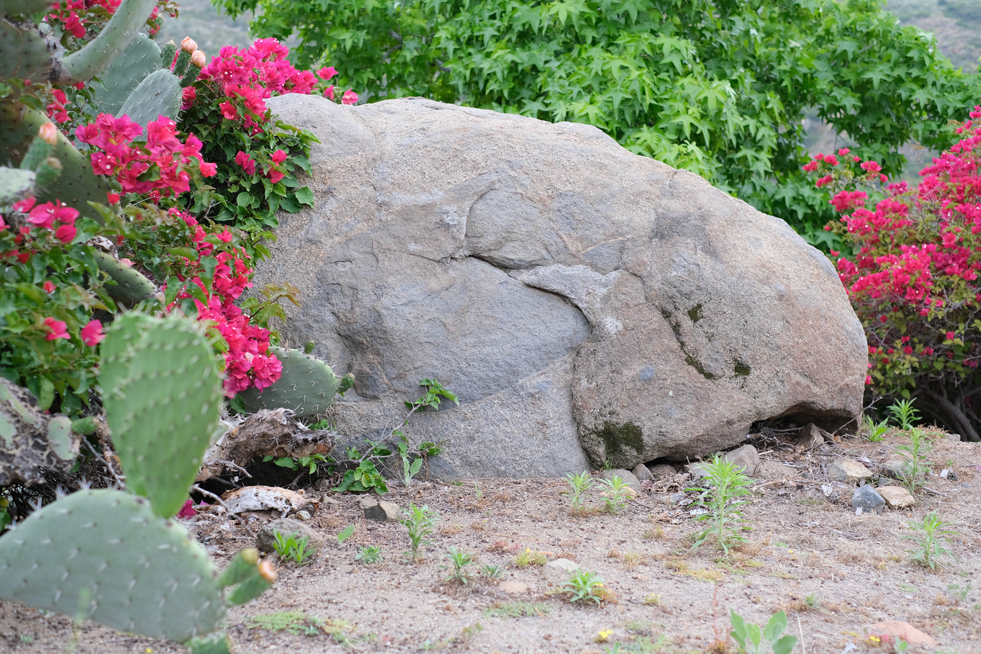 SAN DIEGO, CALIFORNIA 2022