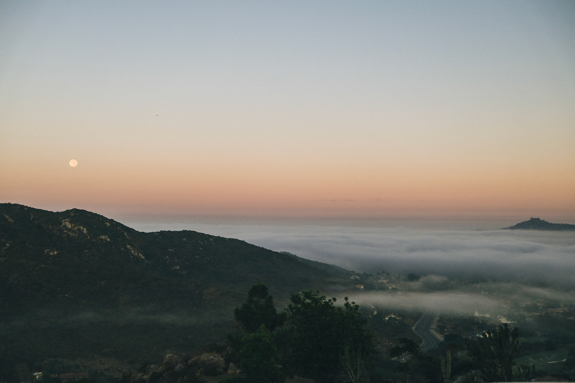 SAN DIEGO, CALIFORNIA 2023