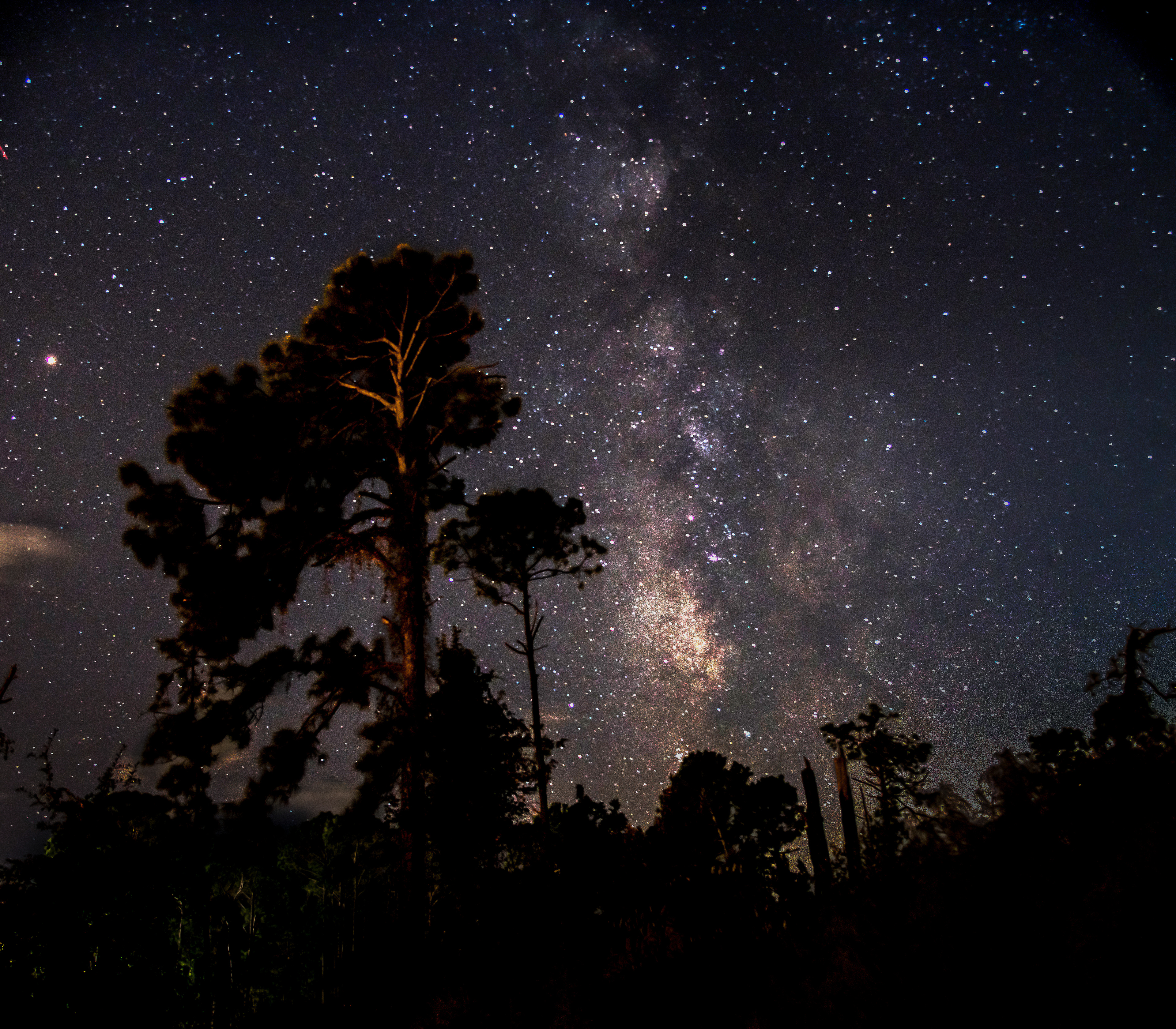 Milky Way on Hilton Head Island