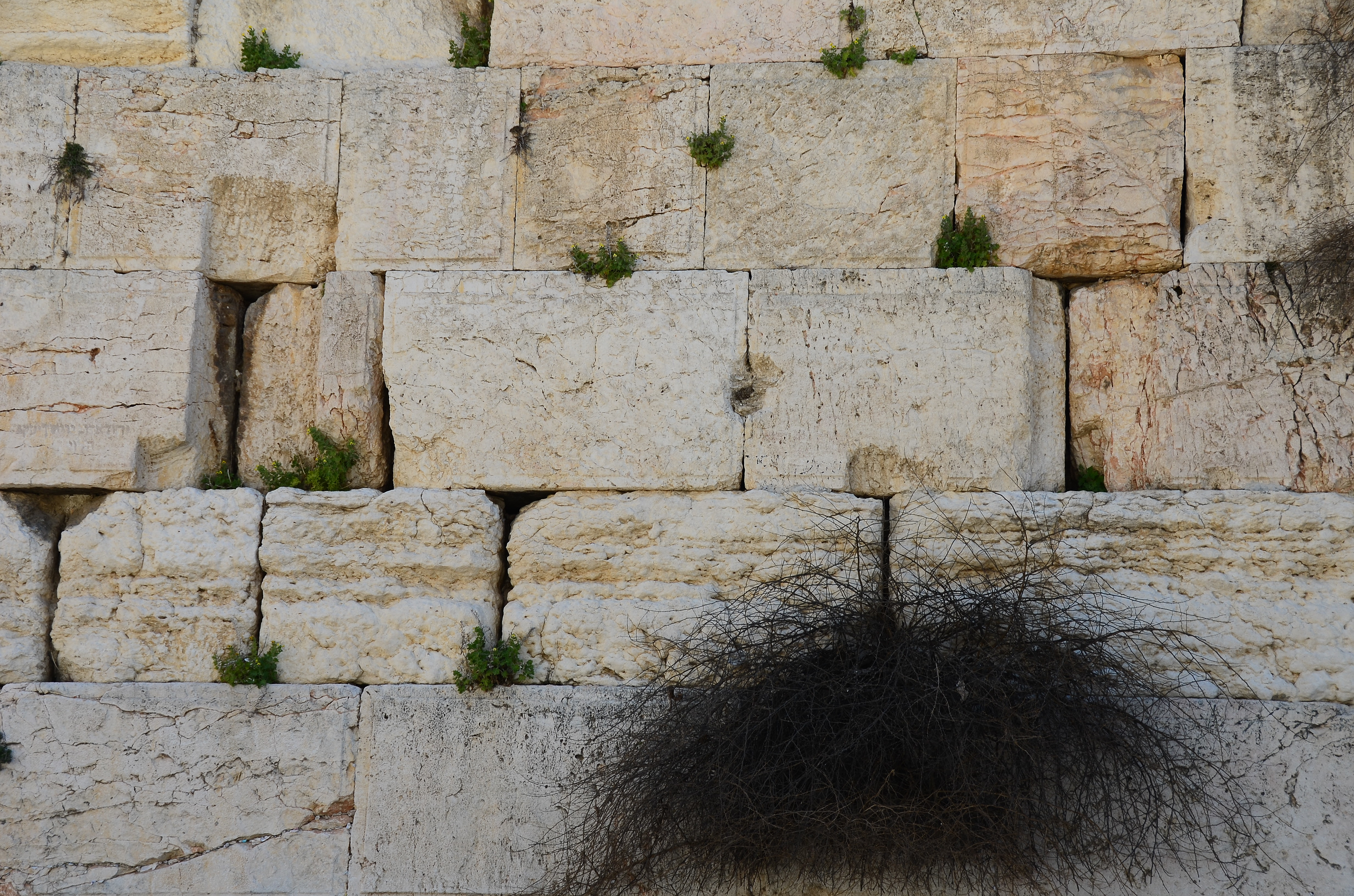 Wailing Wall