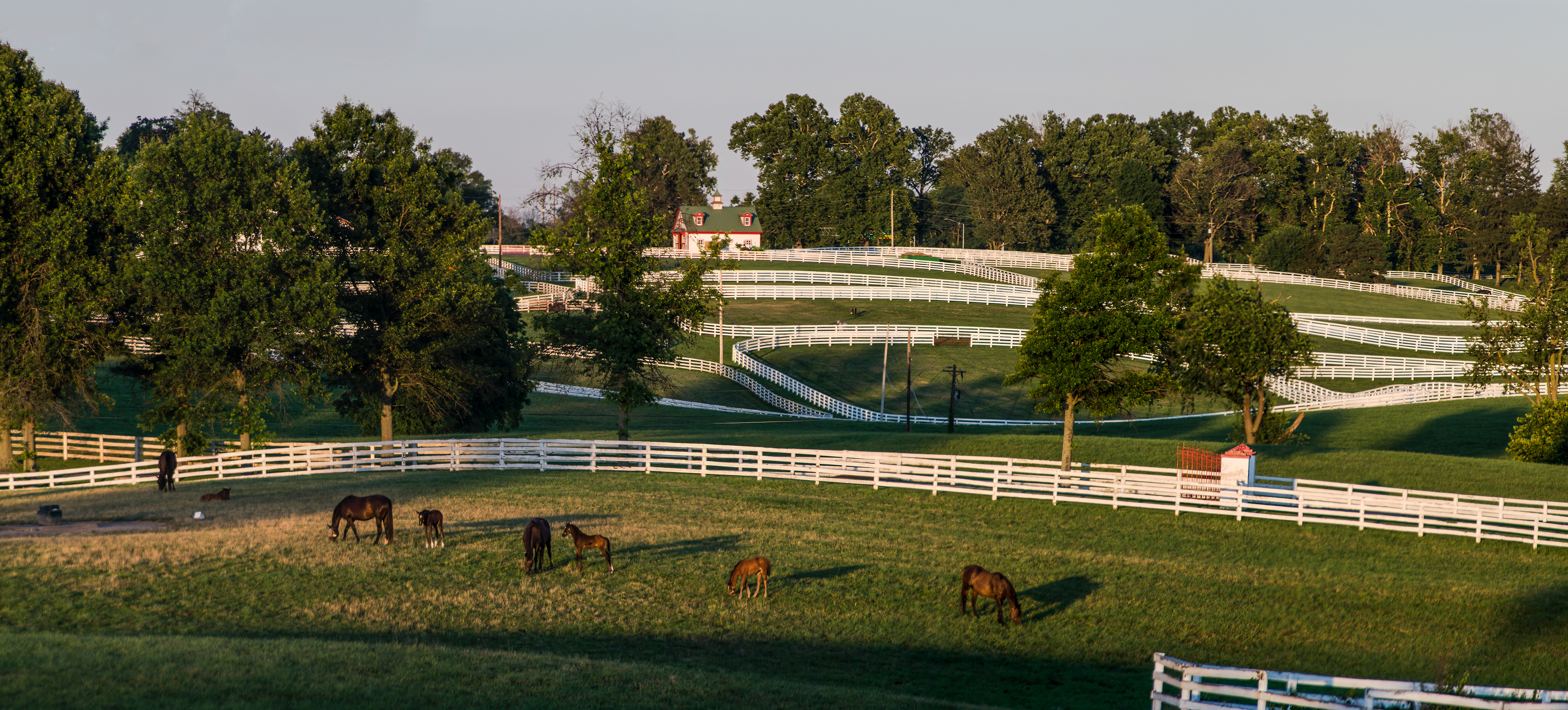 Kentucky horse farm