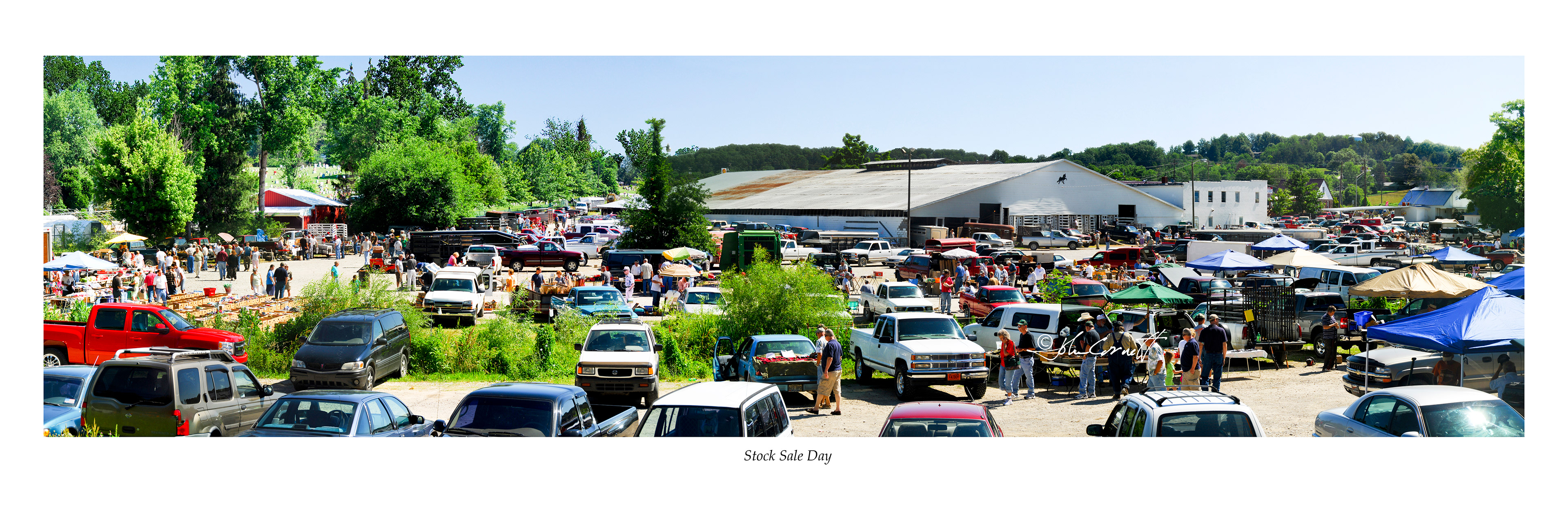 Stock Sale Day