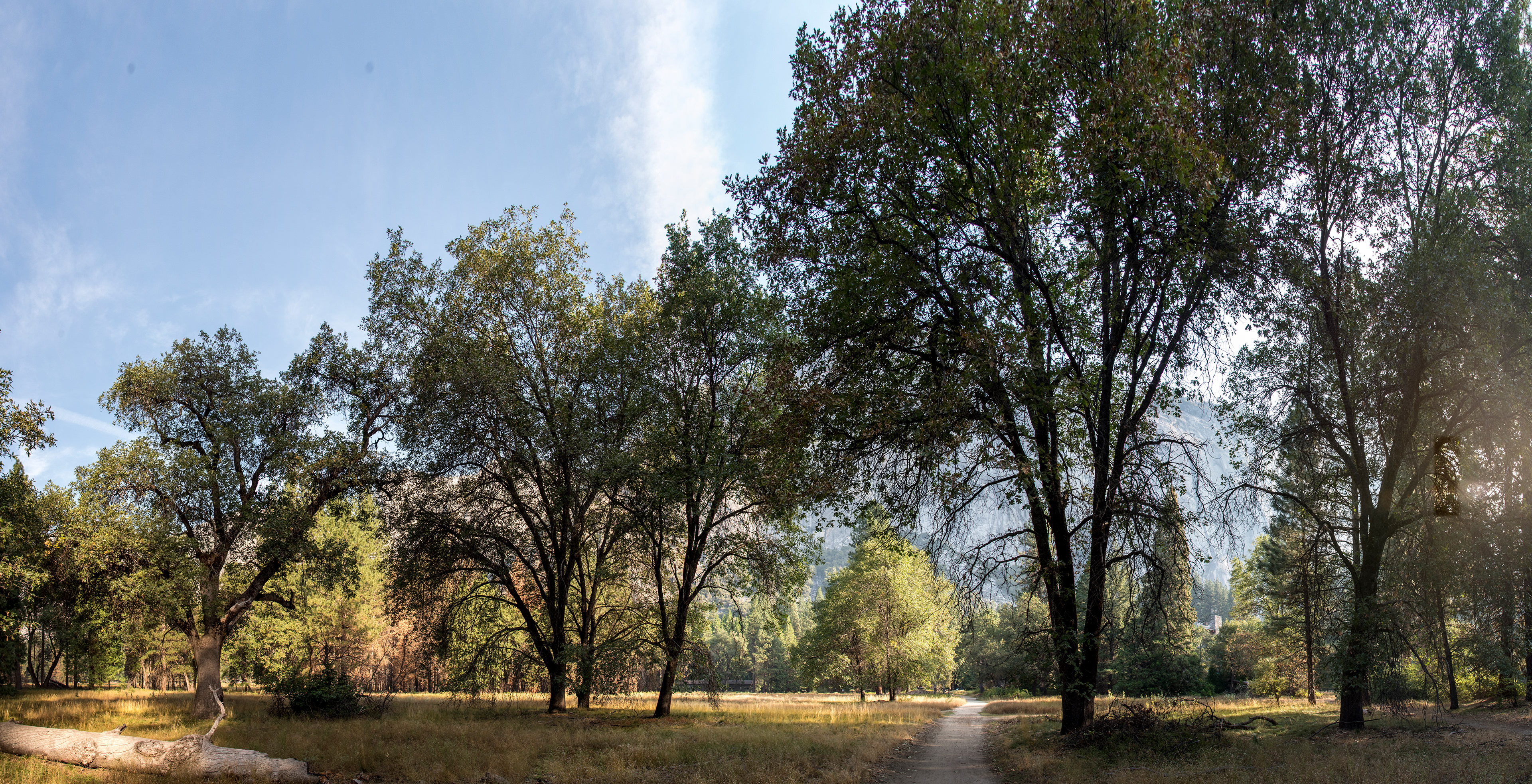 Yosemite valley