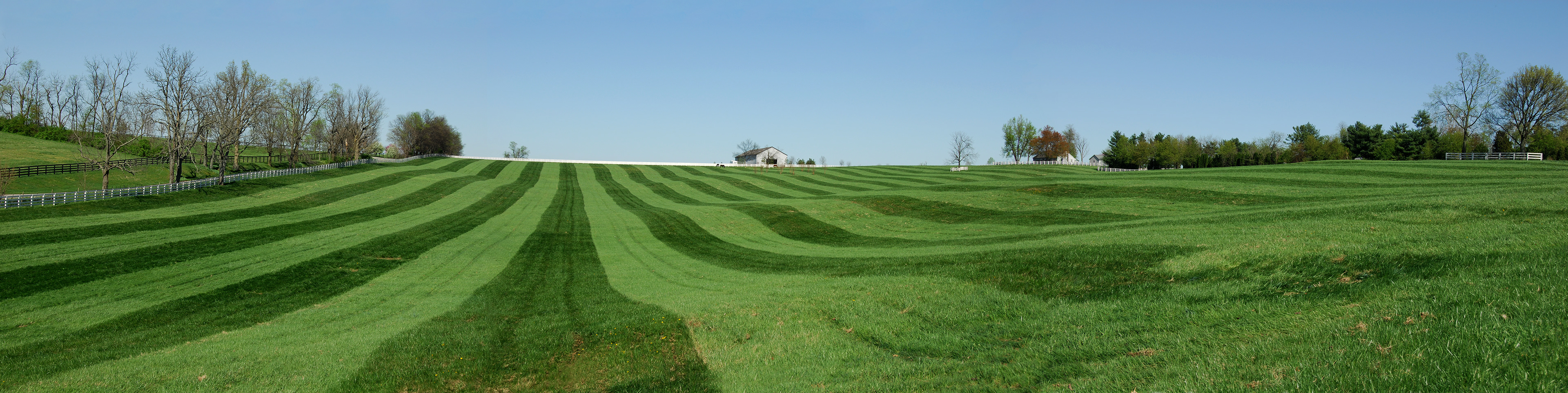 Spring in the Kentucky bluegrass