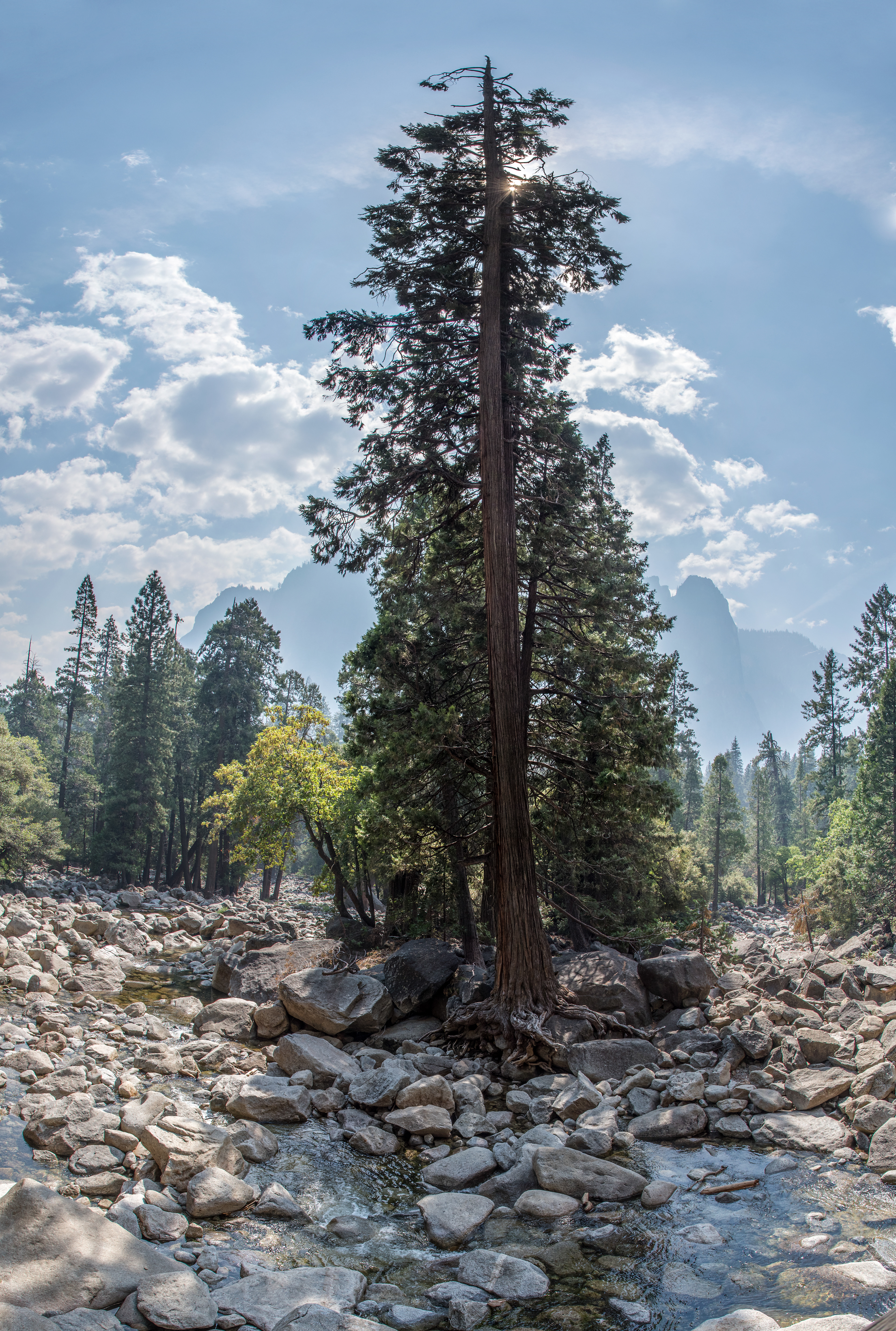 Below Yosemite Falls