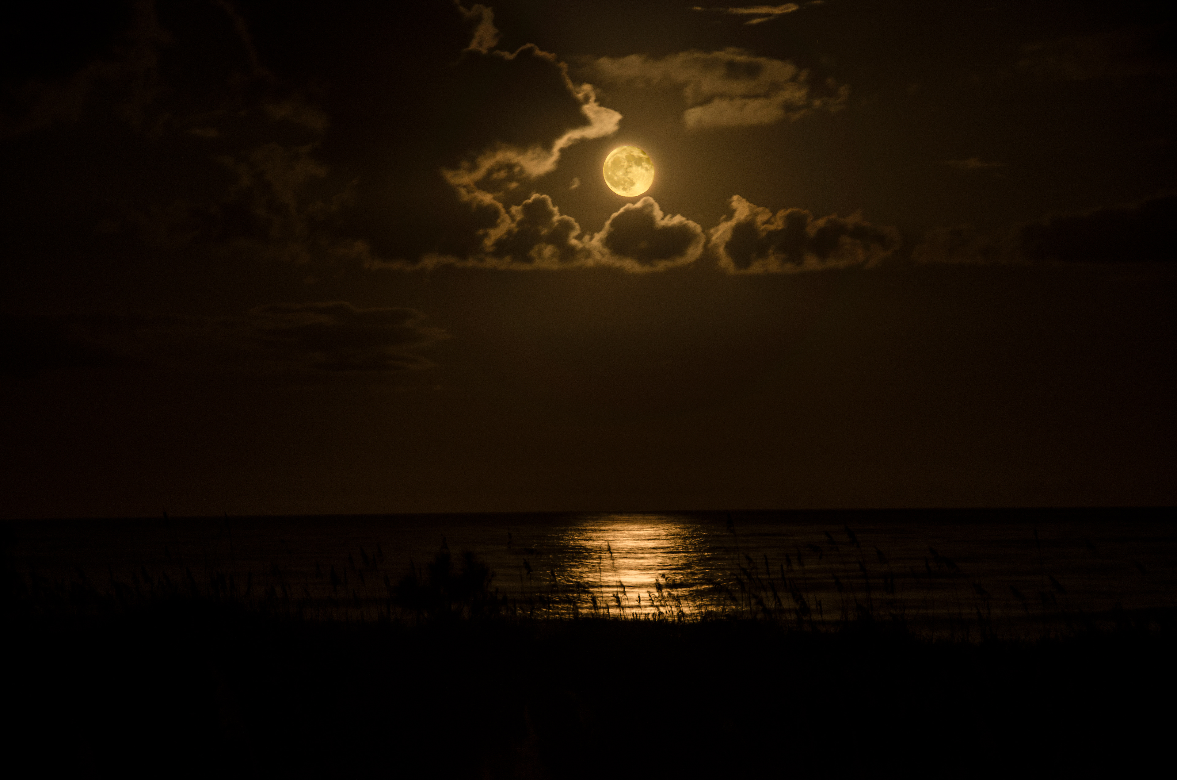 Full moon on Hilton Head Island
