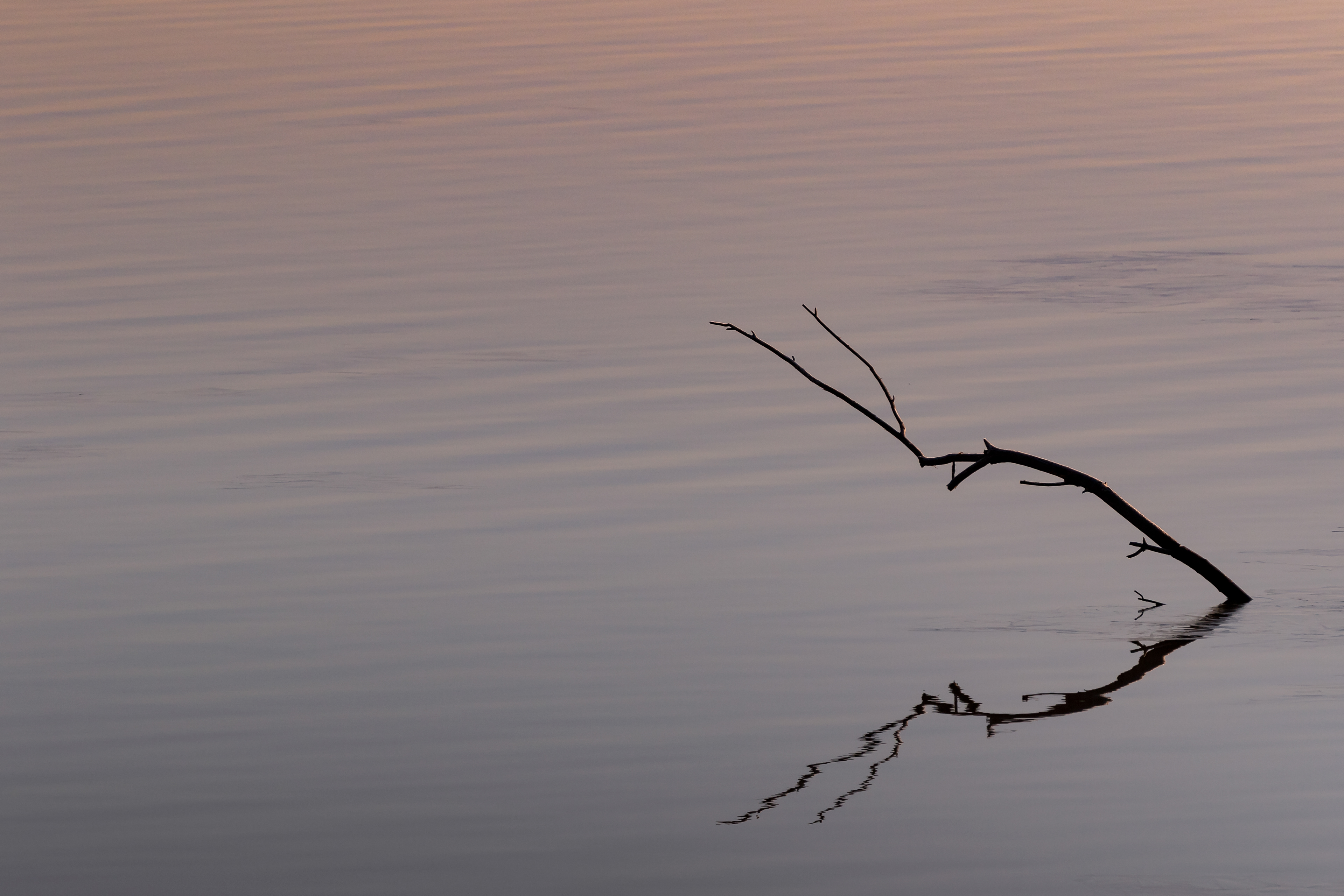 "Mississippi Reflections"