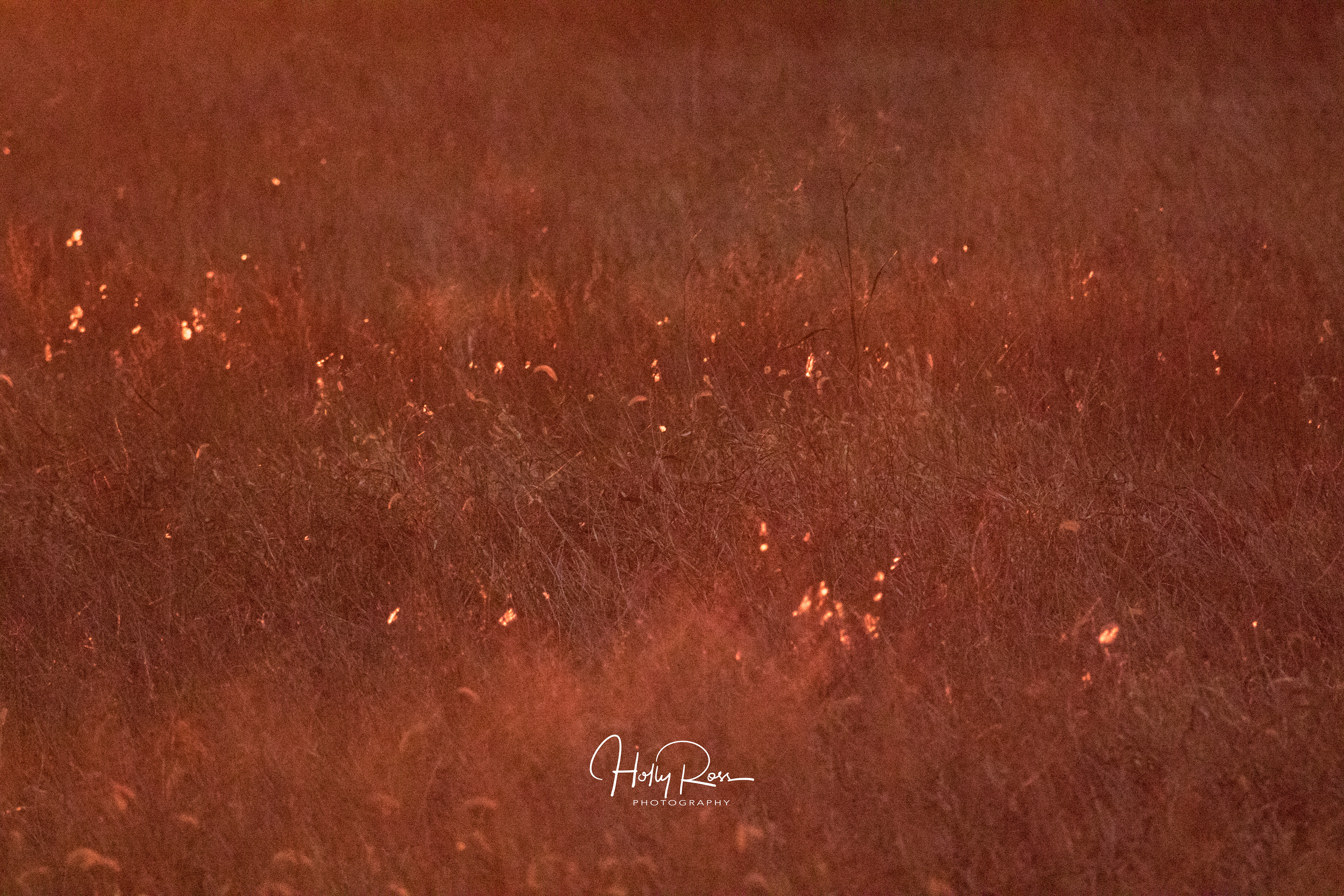 "West Alton Sunrise"