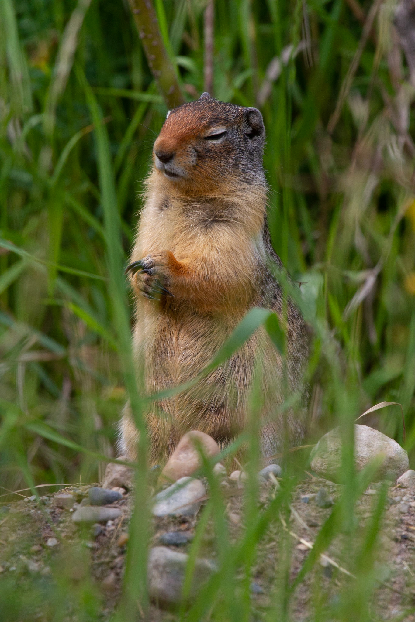 debout sur le sol , meditation,yeux fermes,standing on the ground, closed eyes, meditating