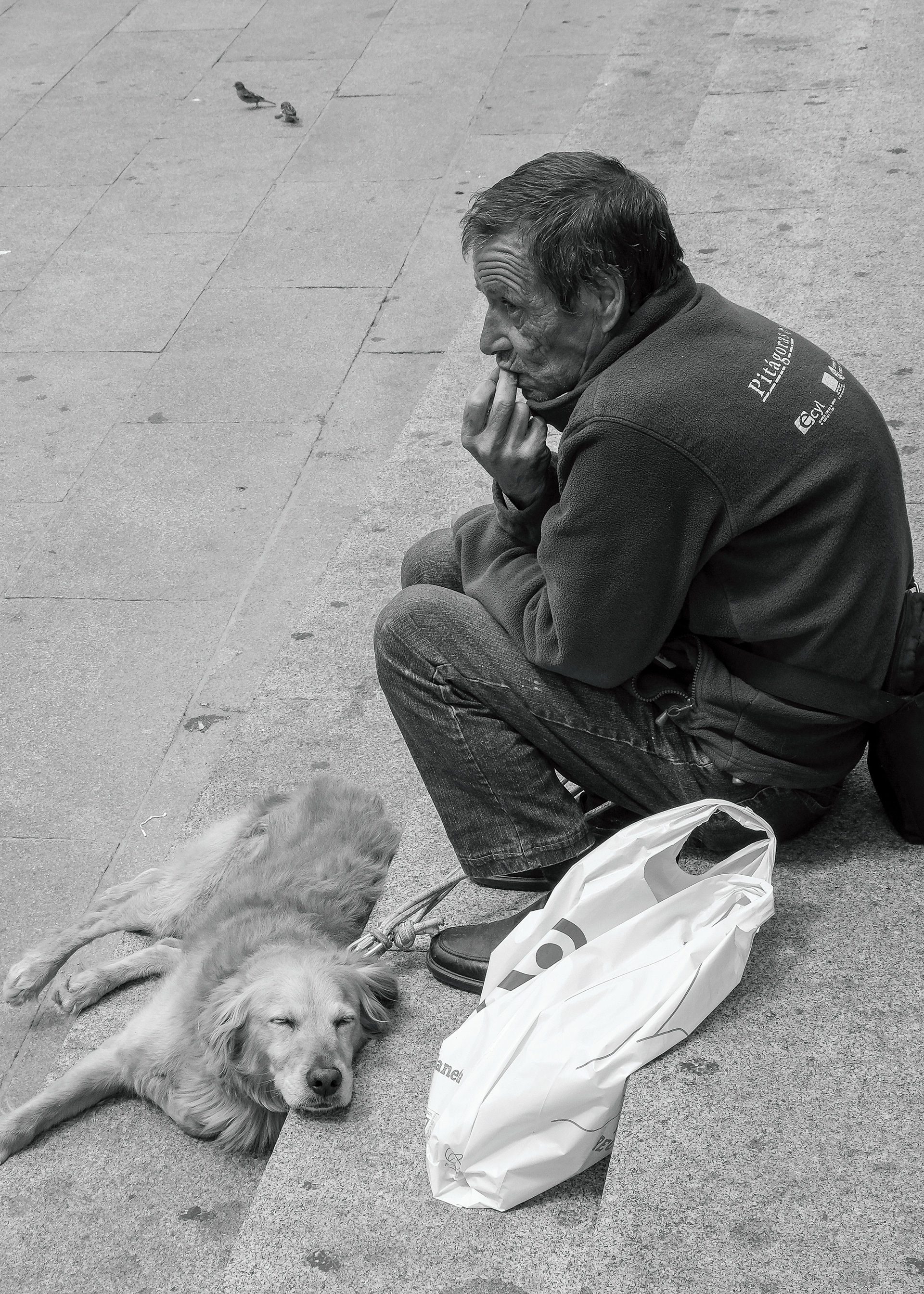 Acueducto de Segovia